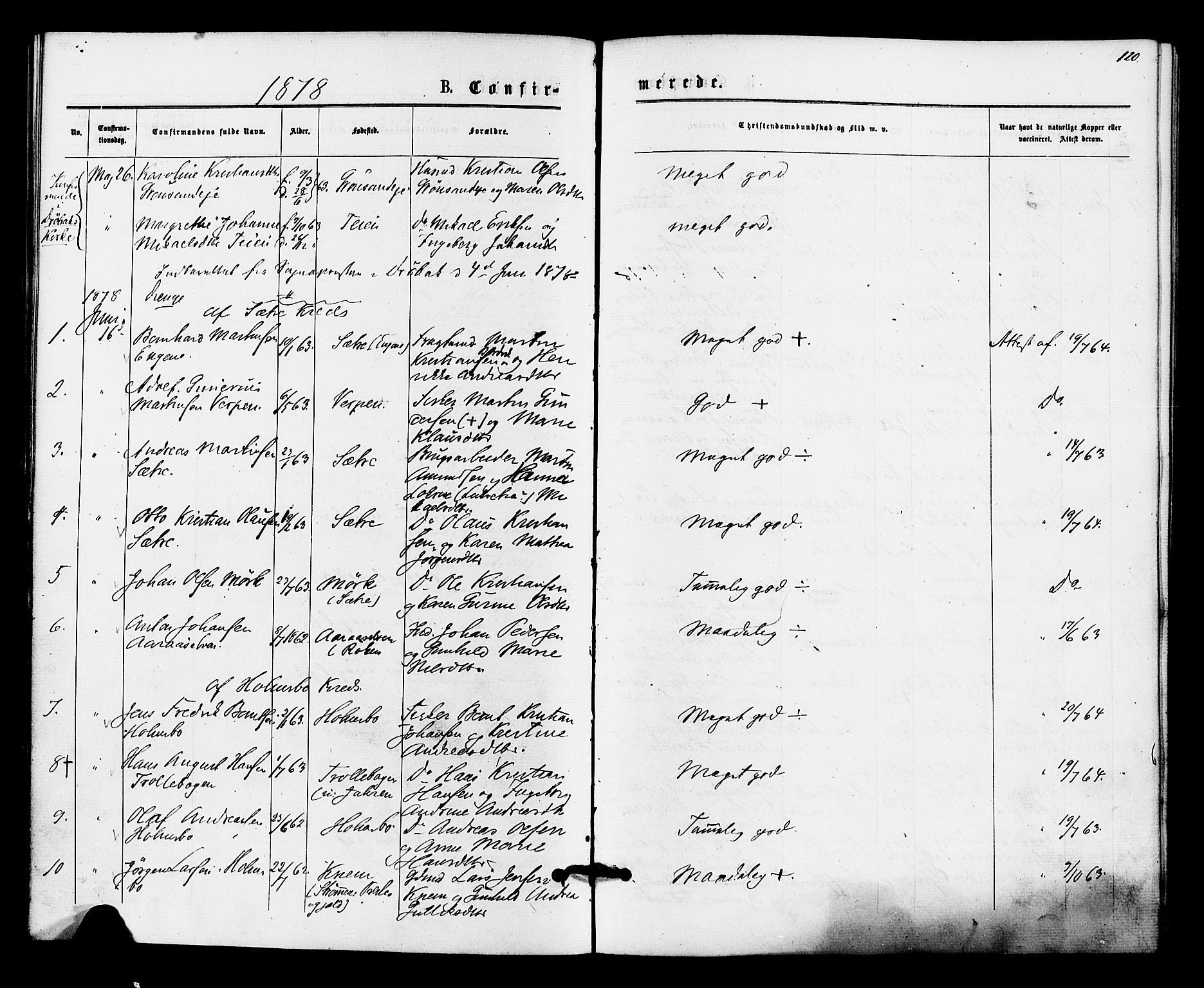Hurum kirkebøker, SAKO/A-229/F/Fa/L0013: Parish register (official) no. 13, 1876-1881, p. 120