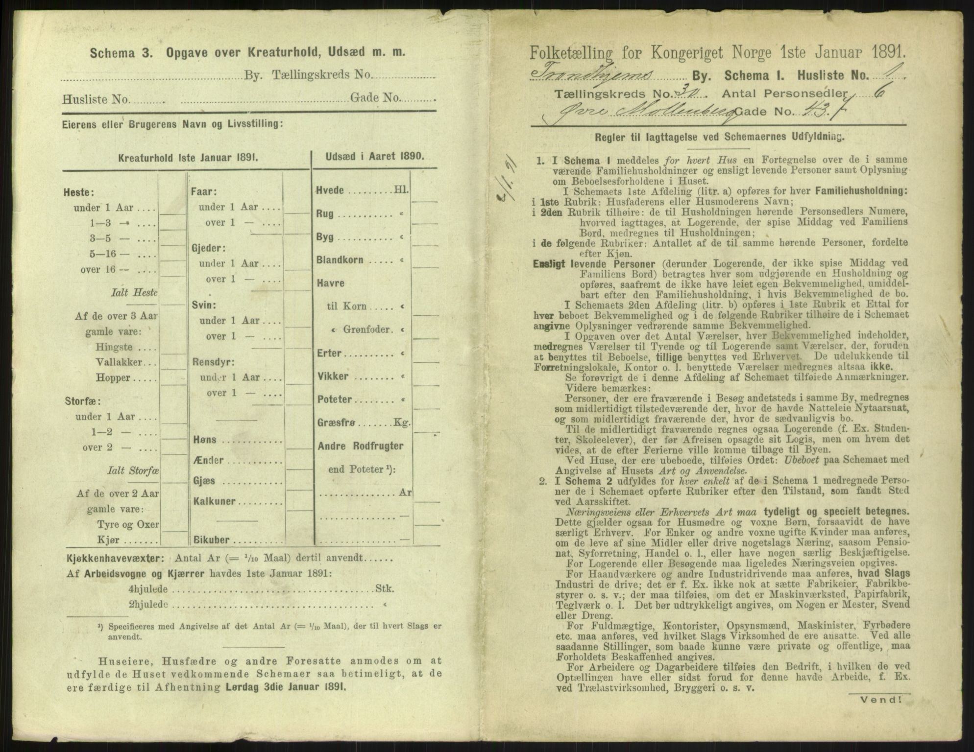 RA, 1891 census for 1601 Trondheim, 1891, p. 2194