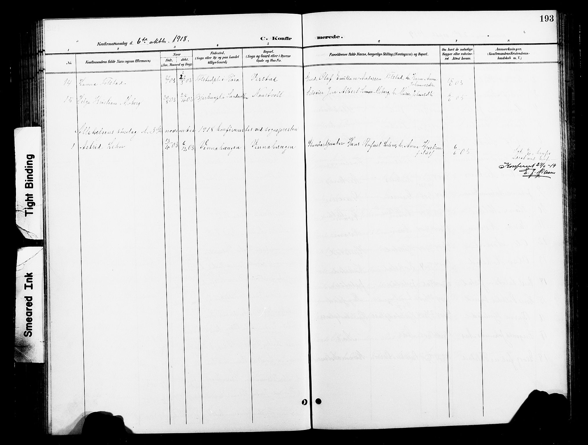 Ministerialprotokoller, klokkerbøker og fødselsregistre - Nord-Trøndelag, AV/SAT-A-1458/730/L0302: Parish register (copy) no. 730C05, 1898-1924, p. 193
