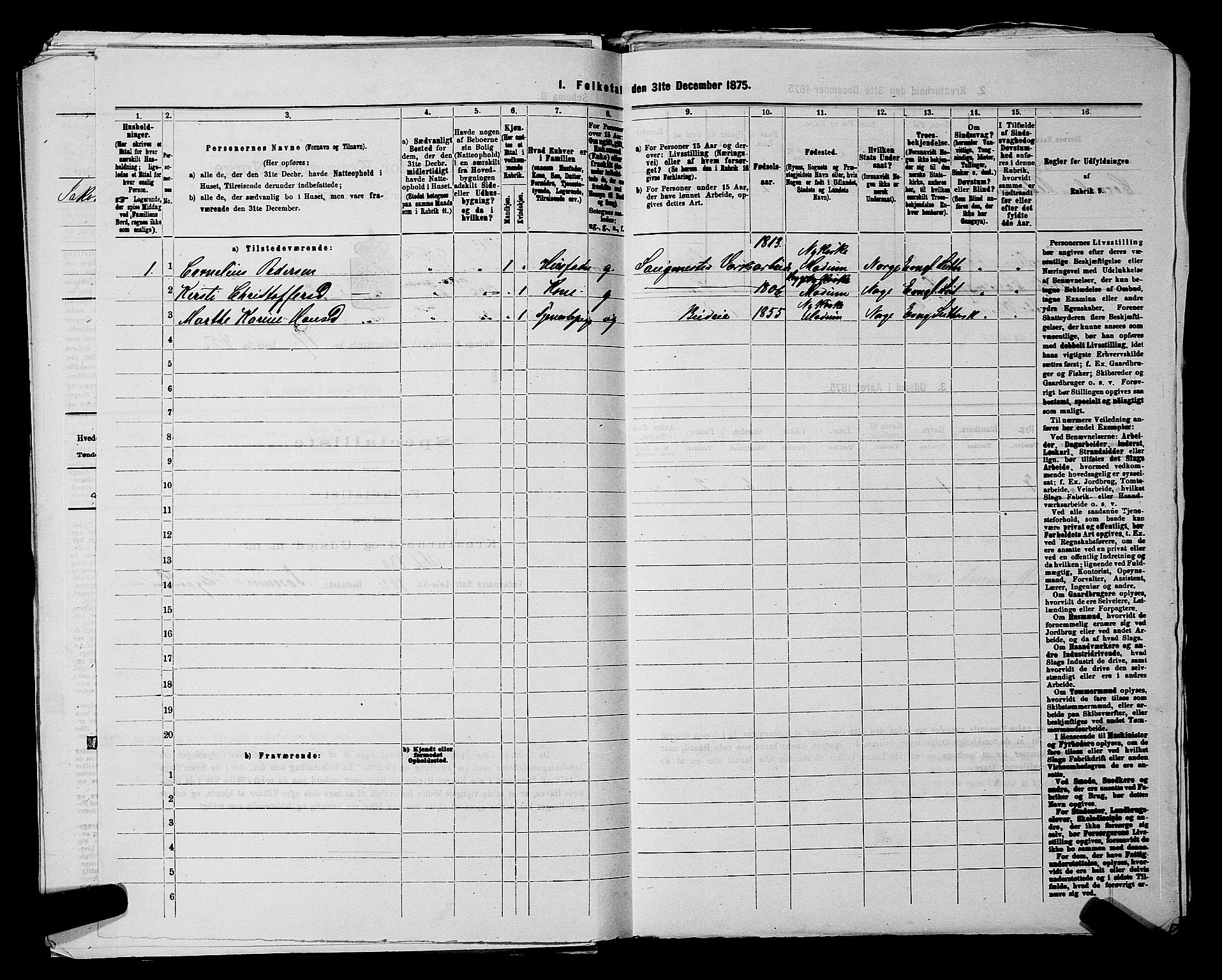 SAKO, 1875 census for 0623P Modum, 1875, p. 2260