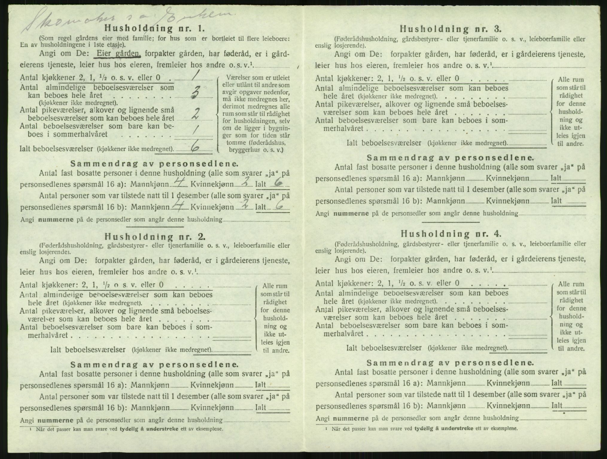 SAT, 1920 census for Borge, 1920, p. 1462