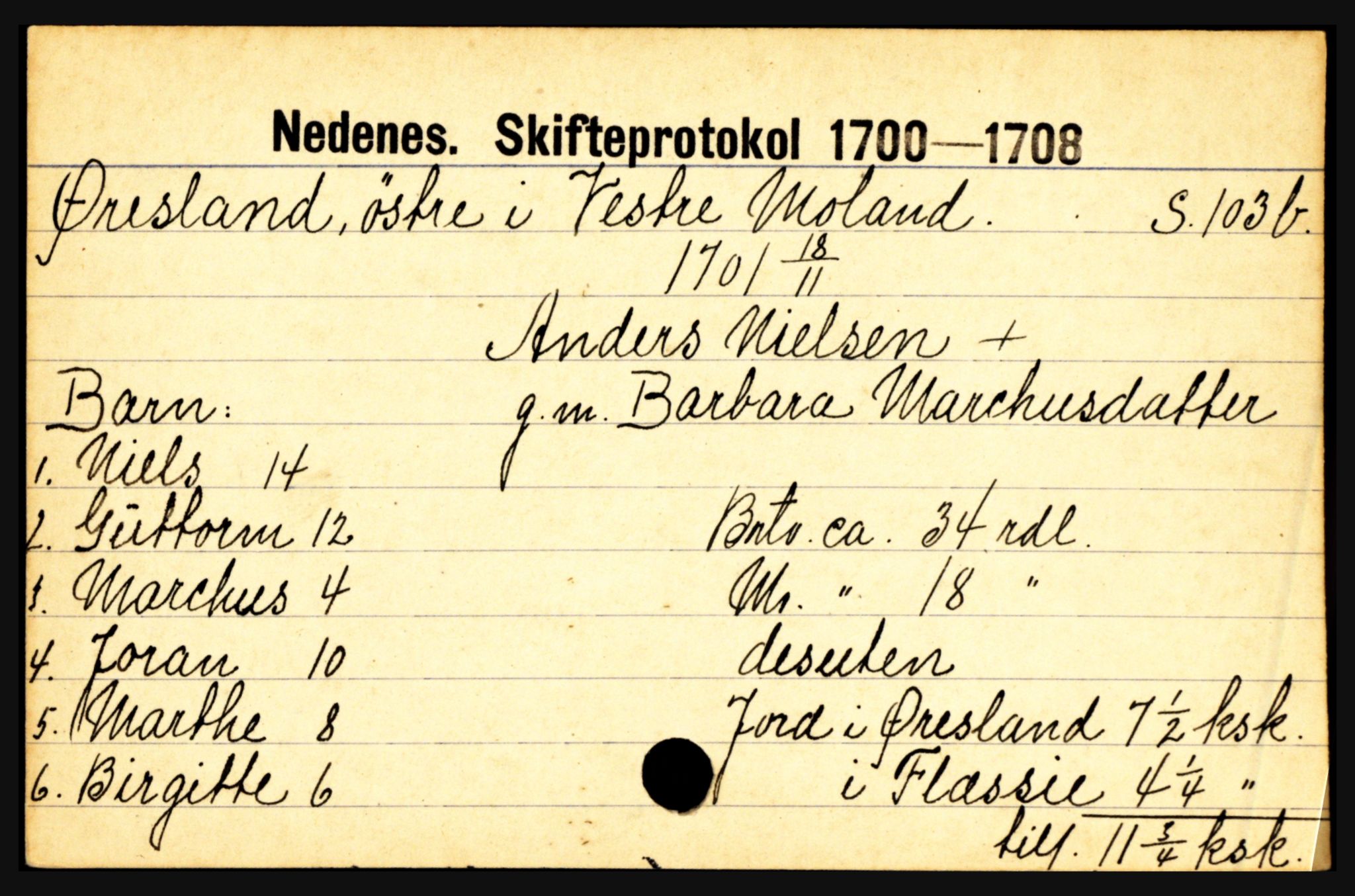 Nedenes sorenskriveri før 1824, AV/SAK-1221-0007/H, p. 33745