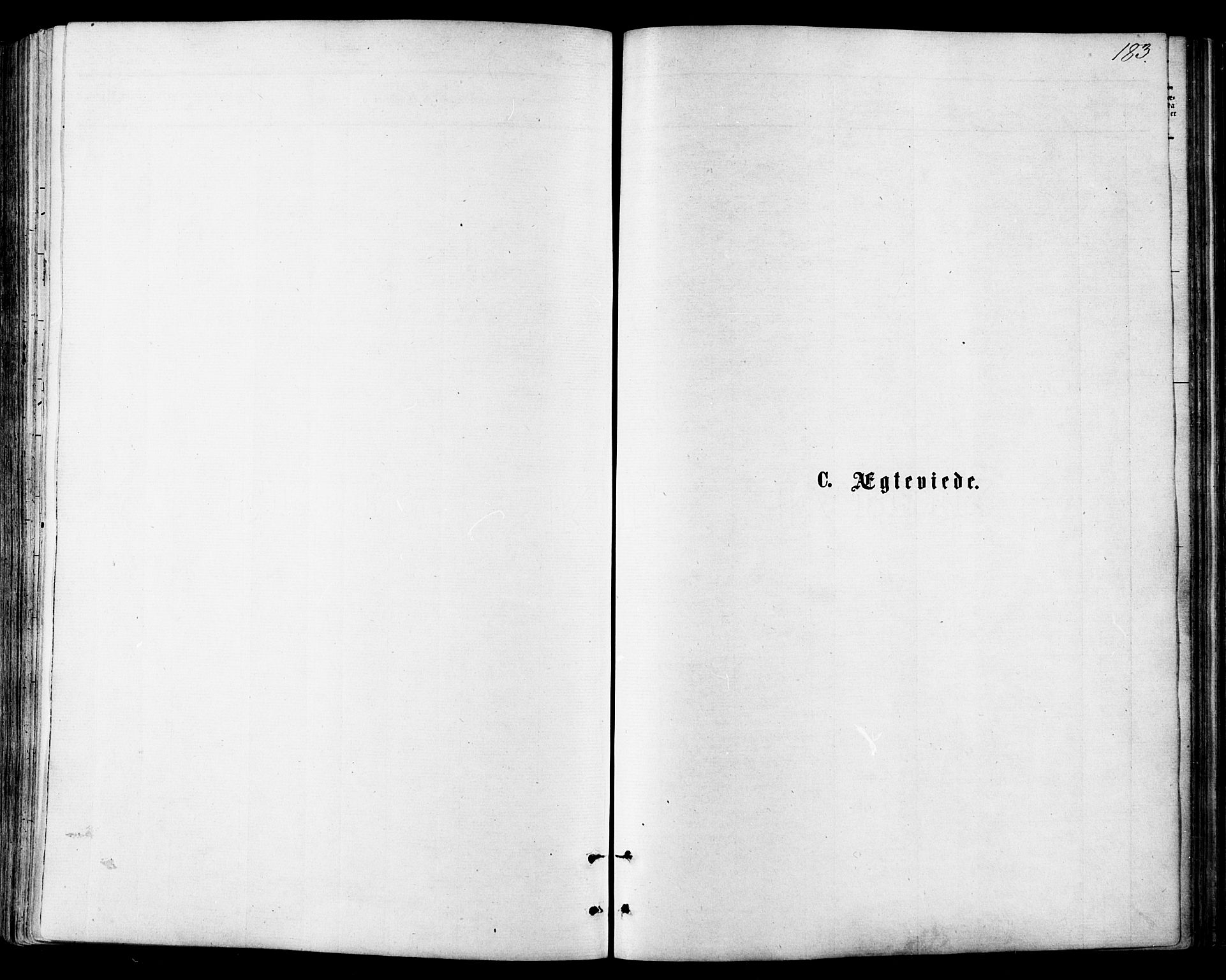 Ministerialprotokoller, klokkerbøker og fødselsregistre - Nordland, SAT/A-1459/846/L0645: Parish register (official) no. 846A03, 1872-1886, p. 183