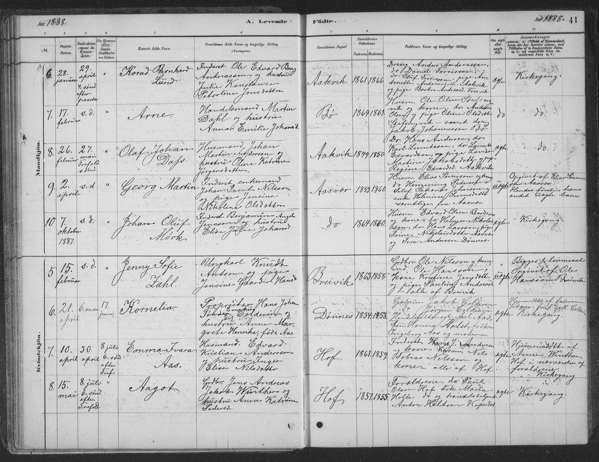 Ministerialprotokoller, klokkerbøker og fødselsregistre - Nordland, AV/SAT-A-1459/835/L0532: Parish register (copy) no. 835C04, 1880-1905, p. 41