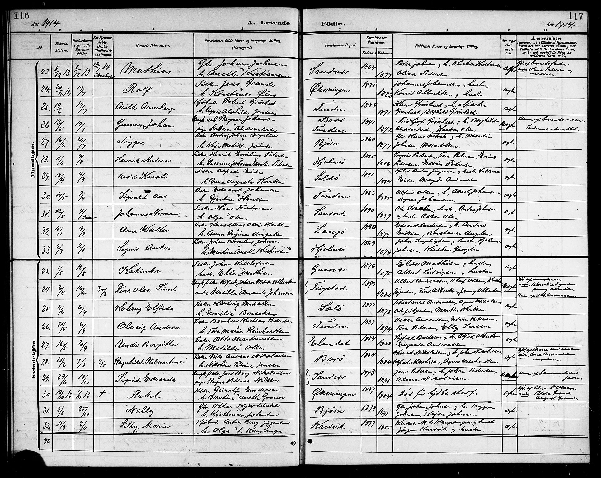 Ministerialprotokoller, klokkerbøker og fødselsregistre - Nordland, SAT/A-1459/834/L0516: Parish register (copy) no. 834C06, 1902-1918, p. 116-117