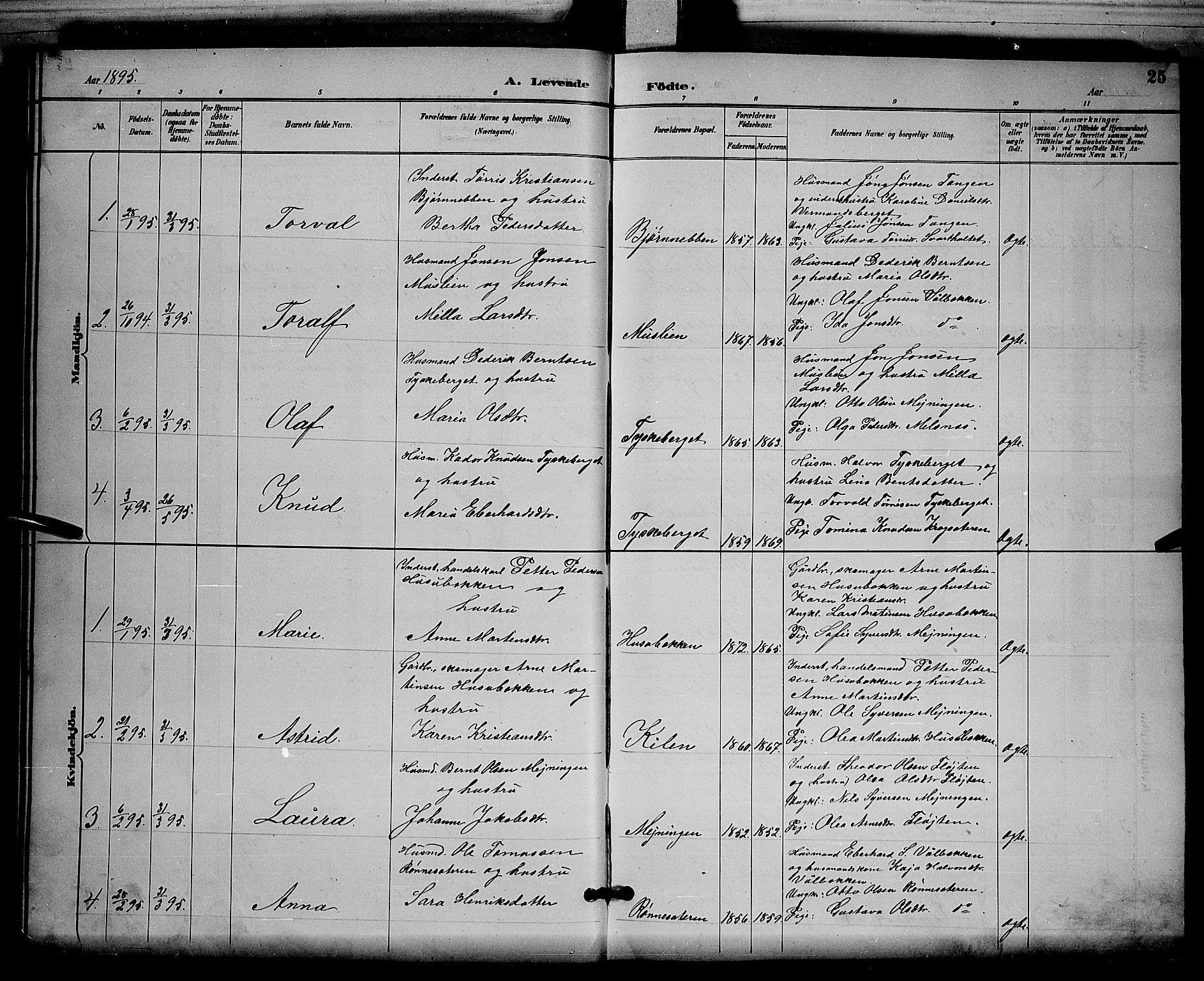 Åsnes prestekontor, AV/SAH-PREST-042/H/Ha/Hab/L0003: Parish register (copy) no. 3, 1890-1902, p. 25