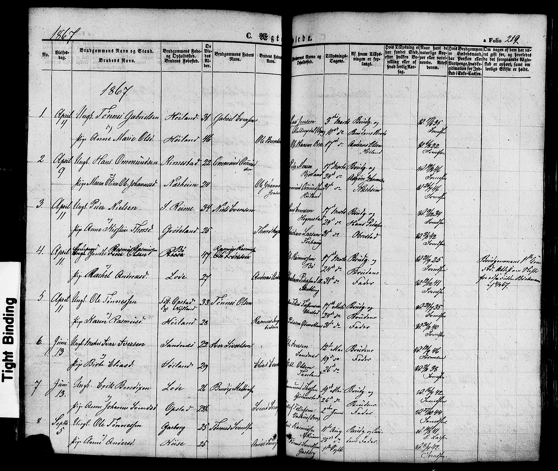 Hå sokneprestkontor, AV/SAST-A-101801/001/30BA/L0008: Parish register (official) no. A 7, 1853-1878, p. 219