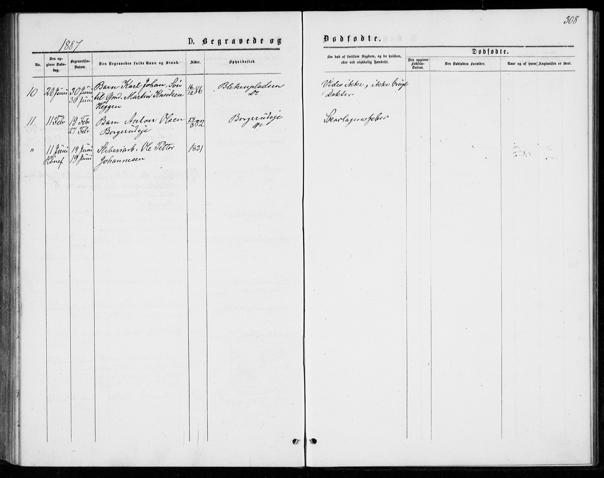 Norderhov kirkebøker, SAKO/A-237/G/Ga/L0007: Parish register (copy) no. I 7, 1877-1887, p. 308
