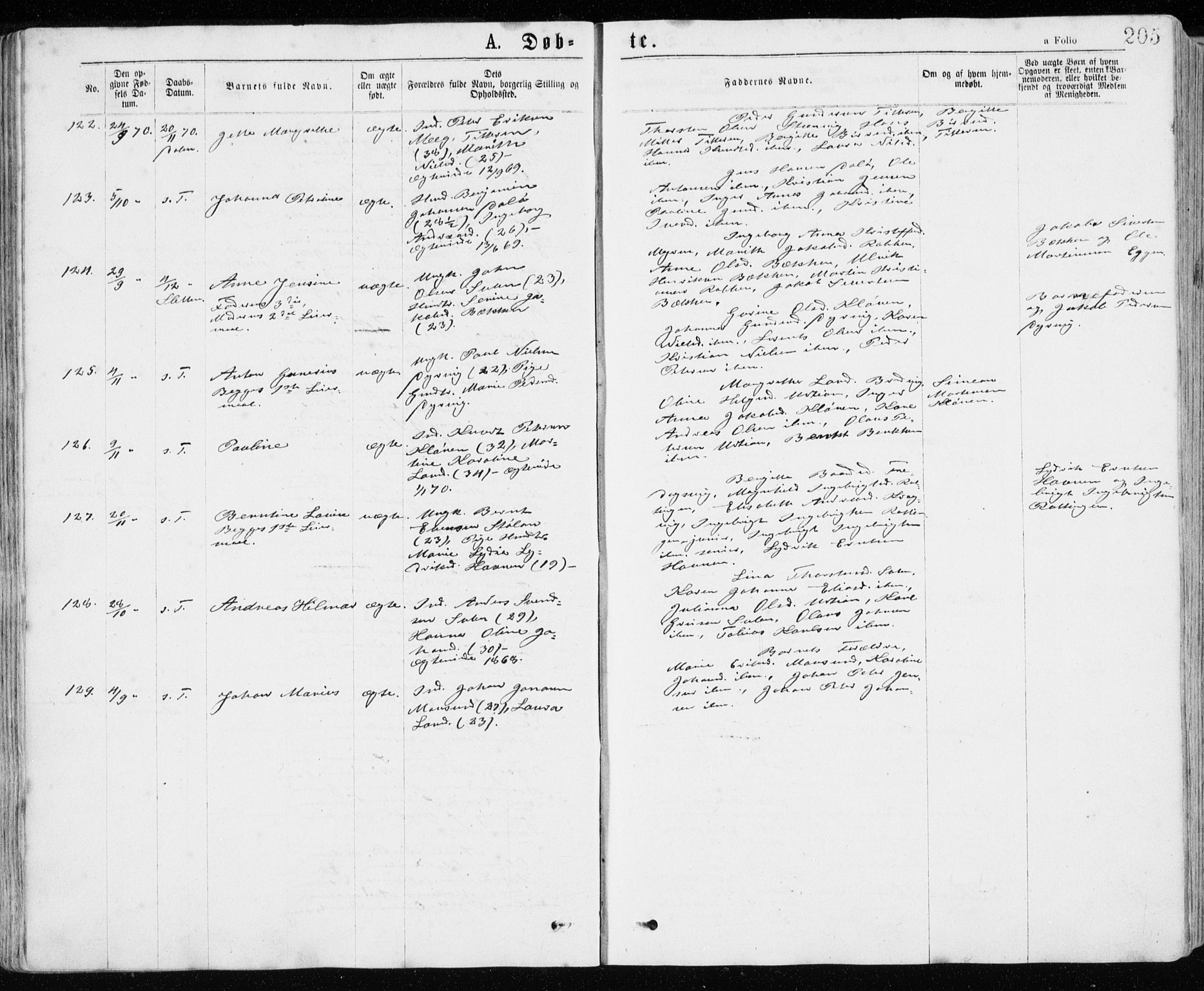 Ministerialprotokoller, klokkerbøker og fødselsregistre - Sør-Trøndelag, SAT/A-1456/640/L0576: Parish register (official) no. 640A01, 1846-1876, p. 205