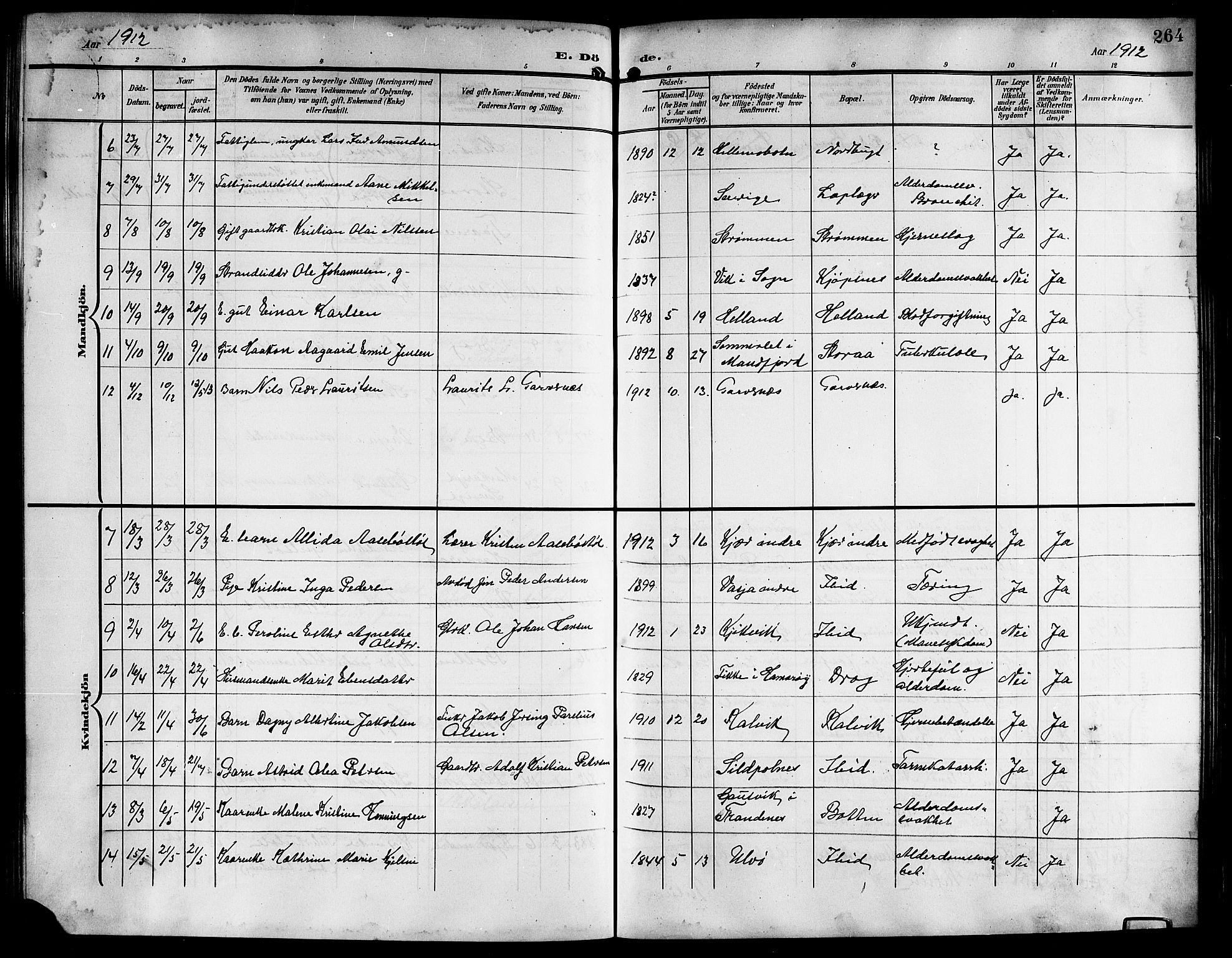 Ministerialprotokoller, klokkerbøker og fødselsregistre - Nordland, AV/SAT-A-1459/861/L0877: Parish register (copy) no. 861C03, 1903-1919, p. 264