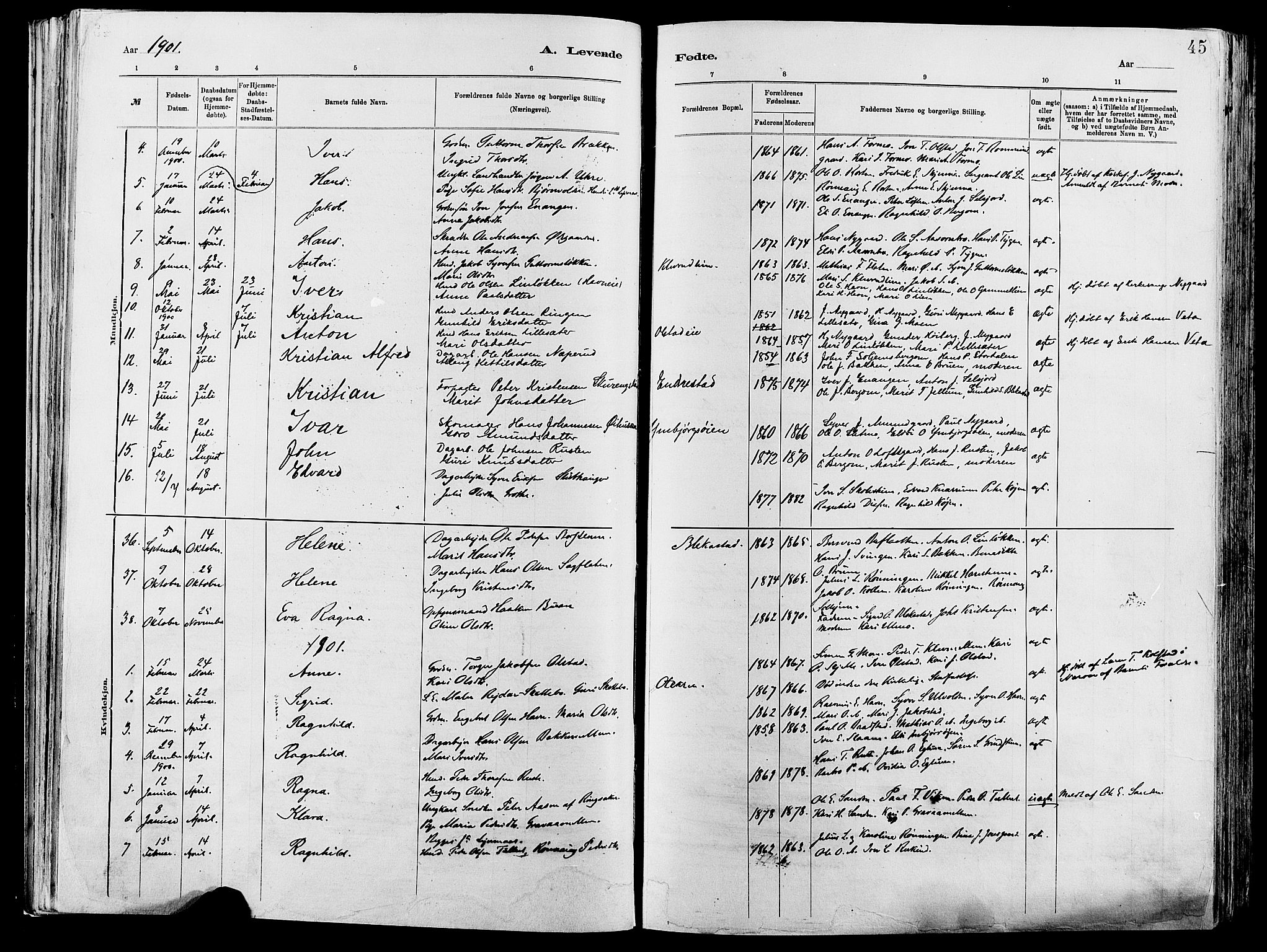 Vågå prestekontor, SAH/PREST-076/H/Ha/Haa/L0008: Parish register (official) no. 8, 1886-1904, p. 45