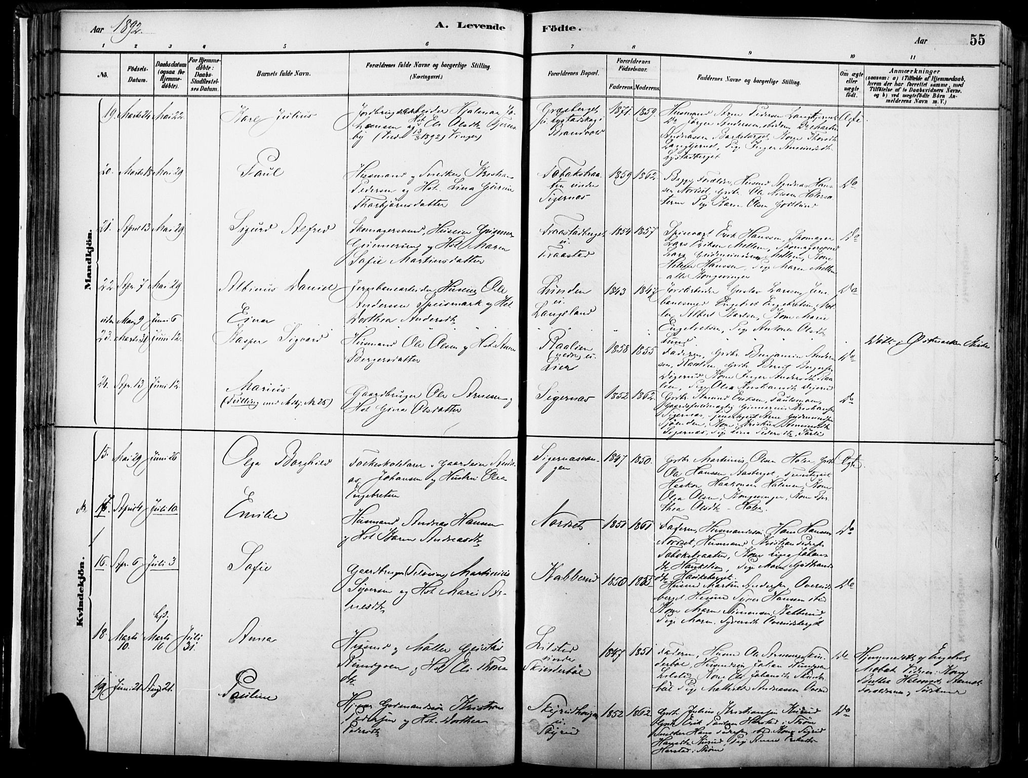 Vinger prestekontor, SAH/PREST-024/H/Ha/Haa/L0014: Parish register (official) no. 14, 1881-1900, p. 55