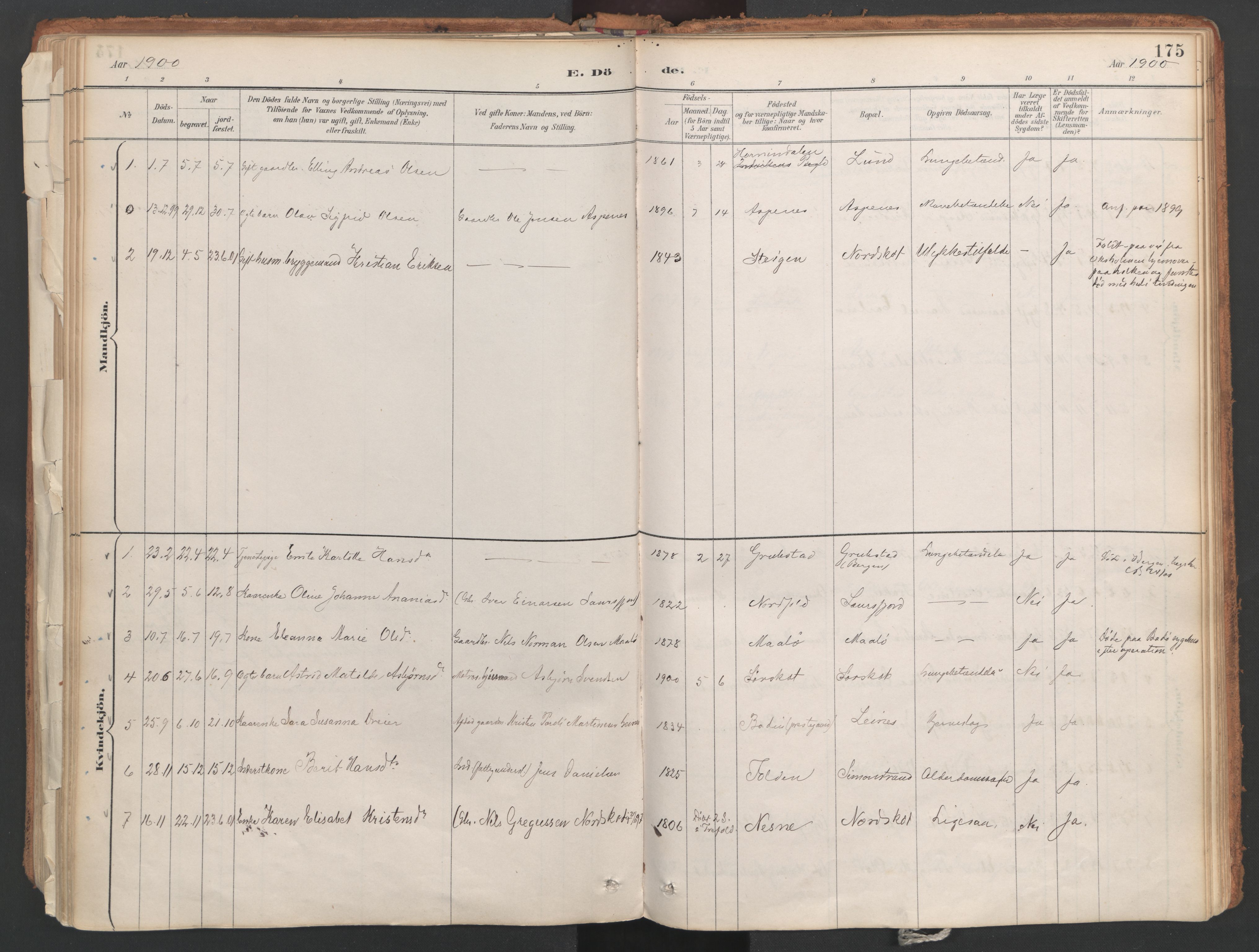 Ministerialprotokoller, klokkerbøker og fødselsregistre - Nordland, AV/SAT-A-1459/857/L0822: Parish register (official) no. 857A02, 1890-1917, p. 175