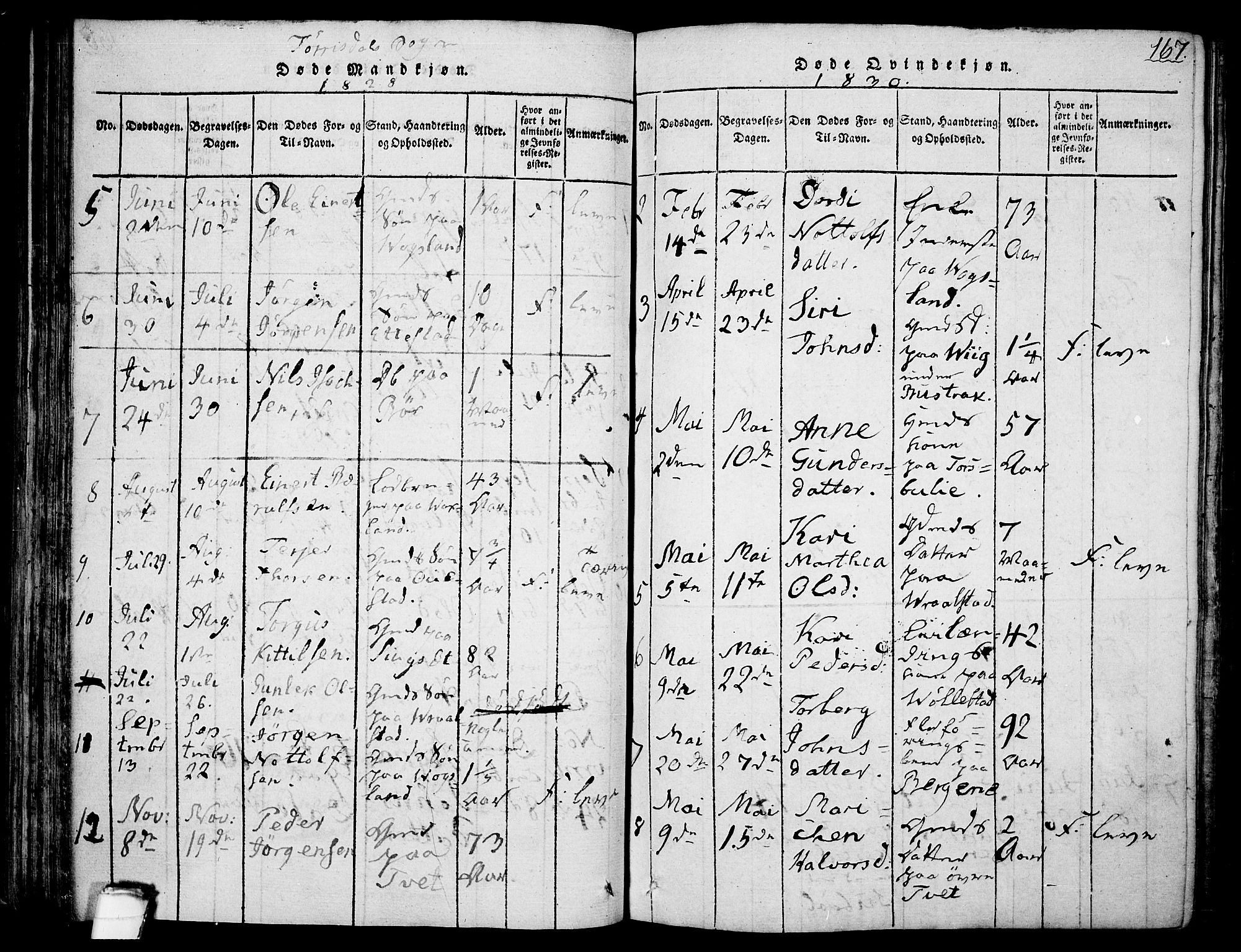 Drangedal kirkebøker, SAKO/A-258/F/Fa/L0005: Parish register (official) no. 5 /2, 1814-1831, p. 167