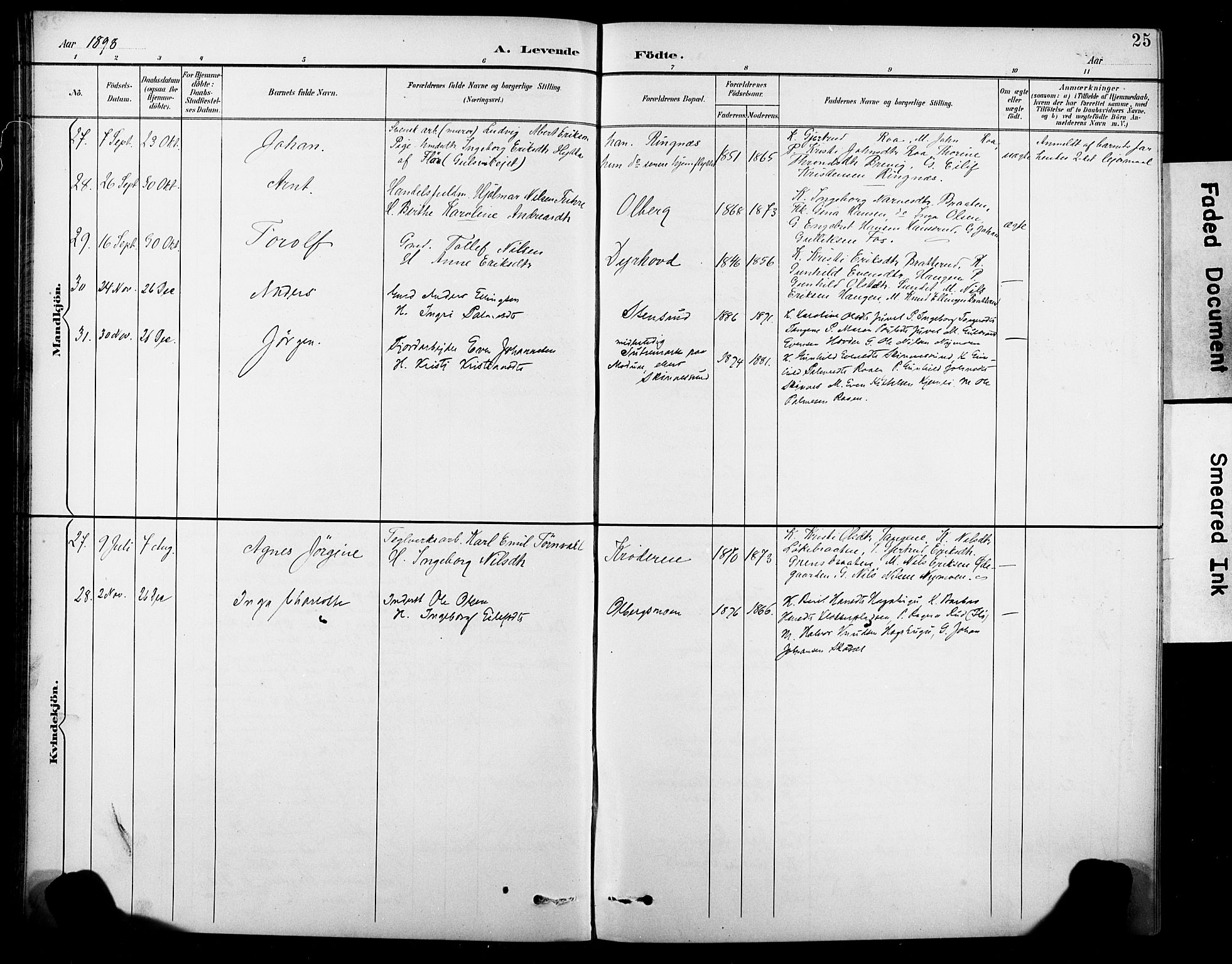 Krødsherad kirkebøker, SAKO/A-19/G/Ga/L0002: Parish register (copy) no. 2, 1894-1918, p. 25