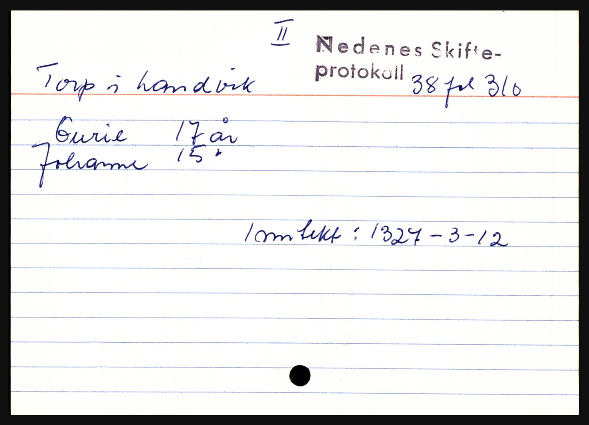 Nedenes sorenskriveri før 1824, AV/SAK-1221-0007/H, p. 30387