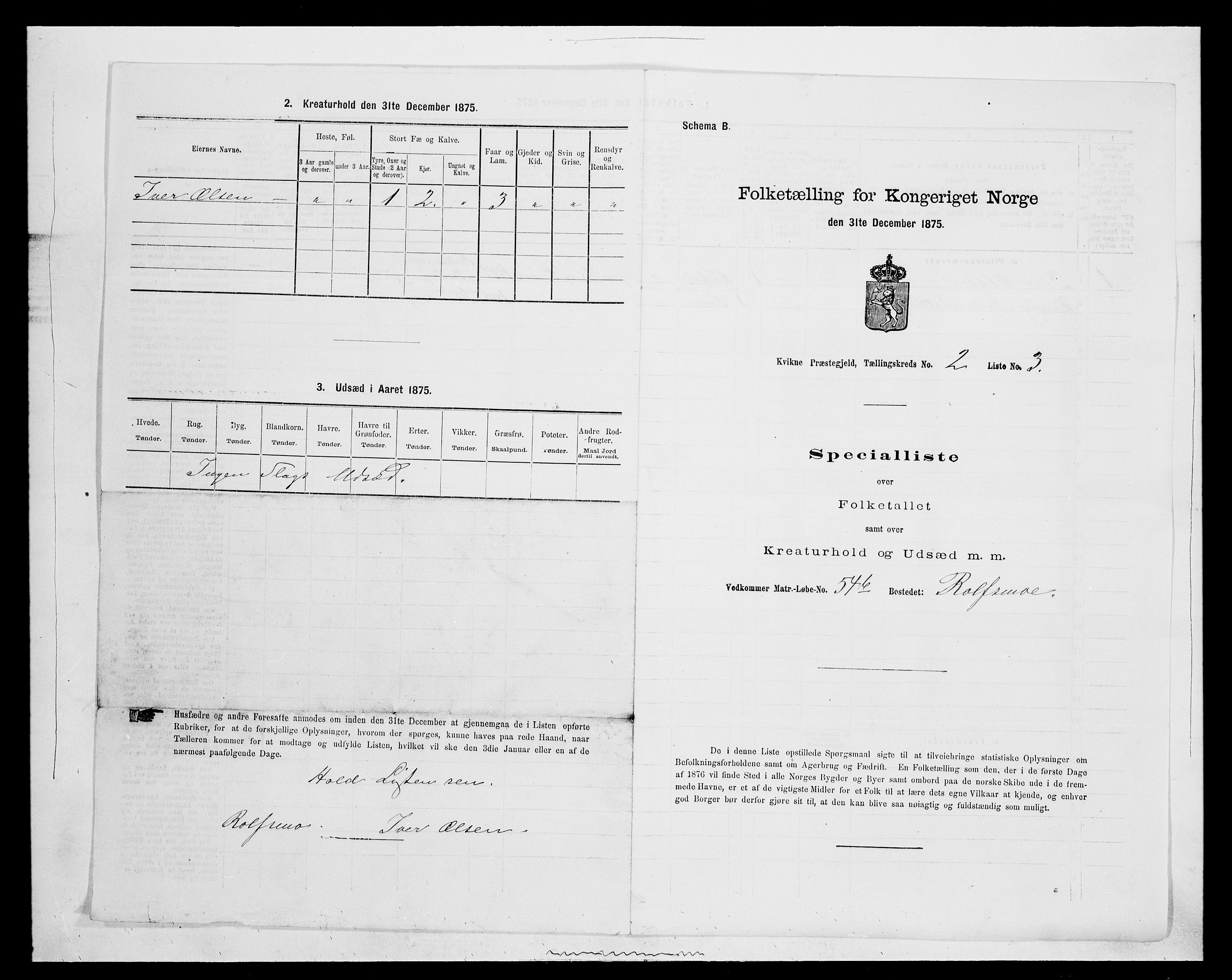 SAH, 1875 census for 0440P Kvikne, 1875, p. 133