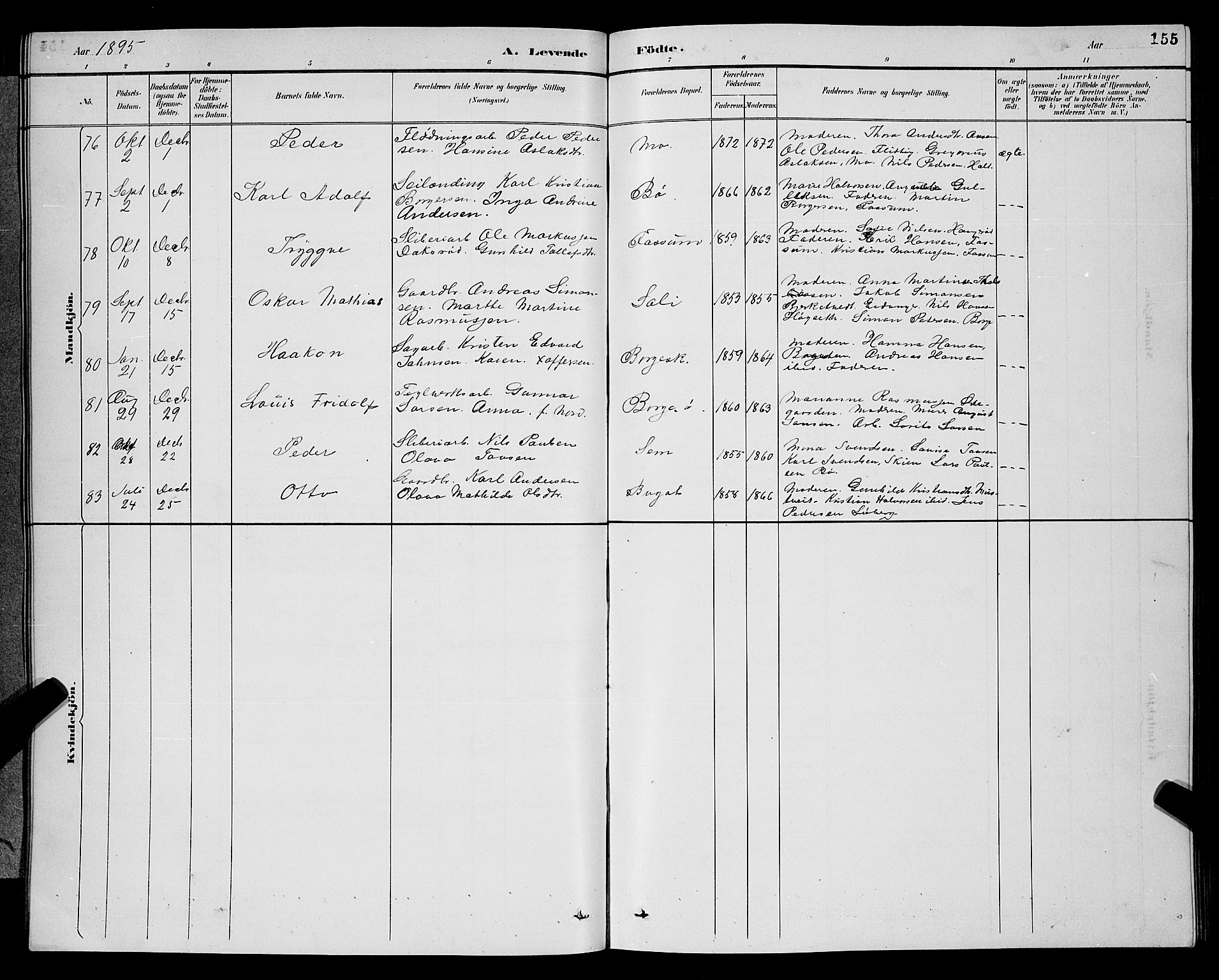 Gjerpen kirkebøker, SAKO/A-265/G/Ga/L0002: Parish register (copy) no. I 2, 1883-1900, p. 155
