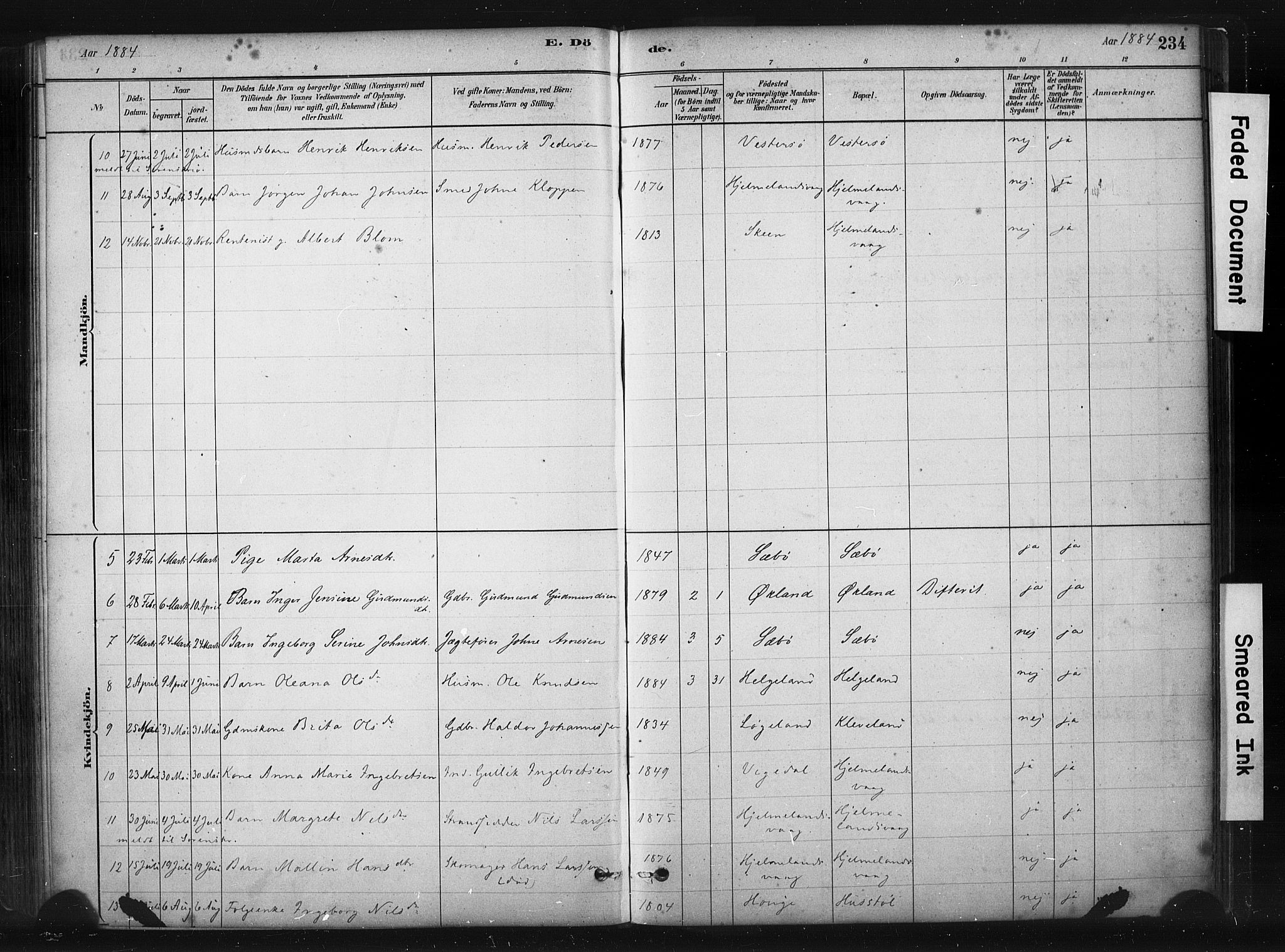 Hjelmeland sokneprestkontor, AV/SAST-A-101843/01/IV/L0014: Parish register (official) no. A 14, 1879-1900, p. 234