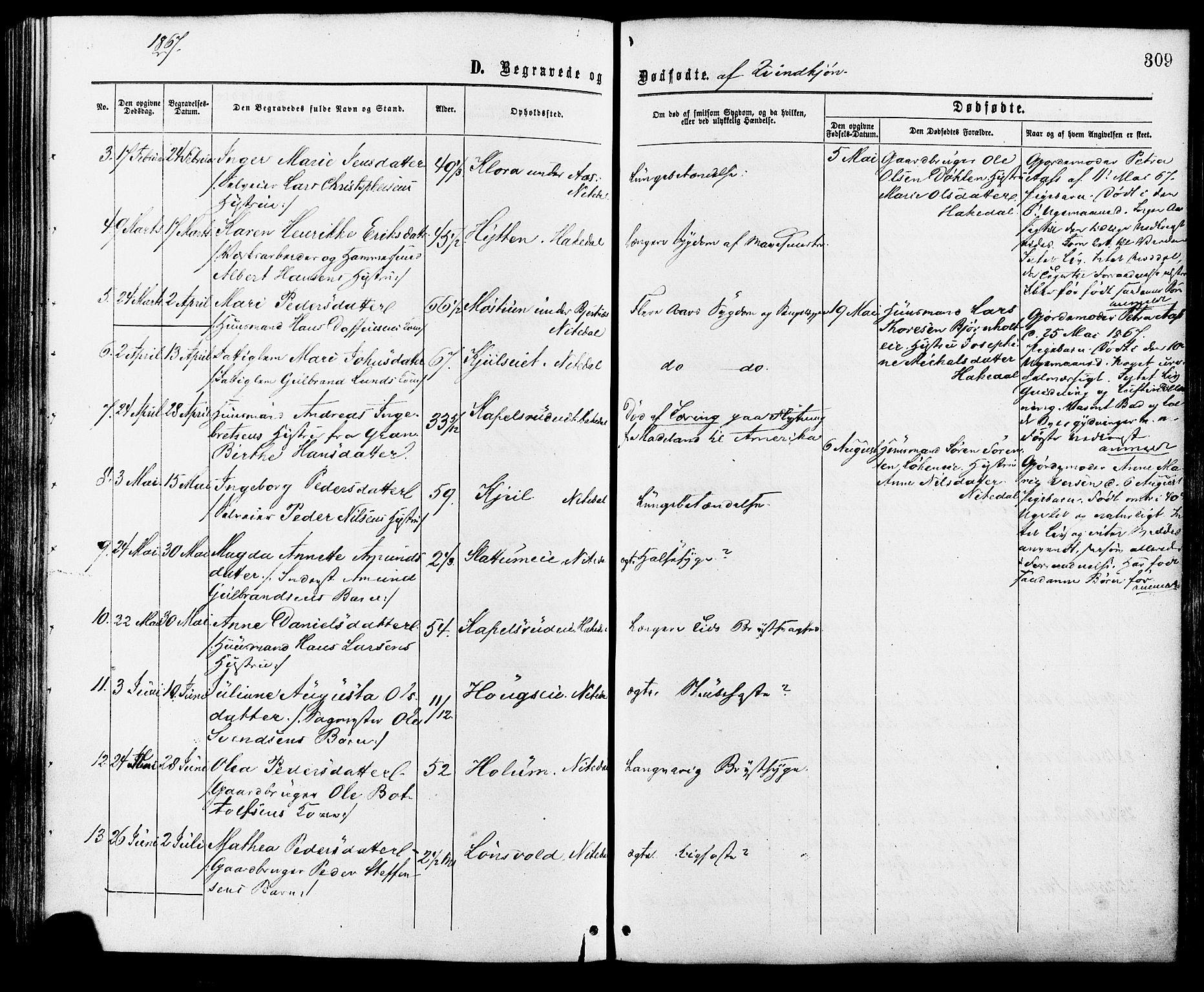 Nittedal prestekontor Kirkebøker, AV/SAO-A-10365a/F/Fa/L0006: Parish register (official) no. I 6, 1863-1878, p. 309