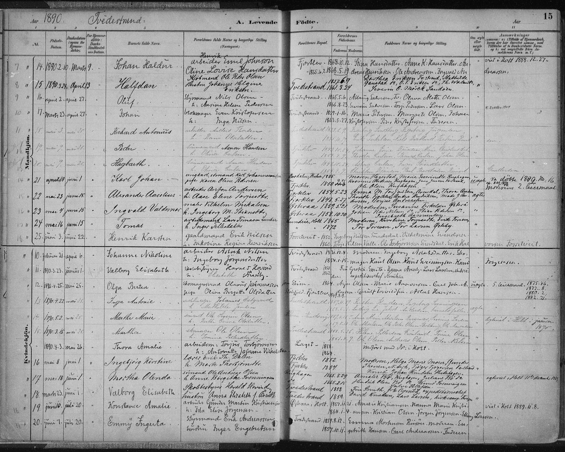 Tvedestrand sokneprestkontor, AV/SAK-1111-0042/F/Fa/L0001: Parish register (official) no. A 1, 1885-1916, p. 15