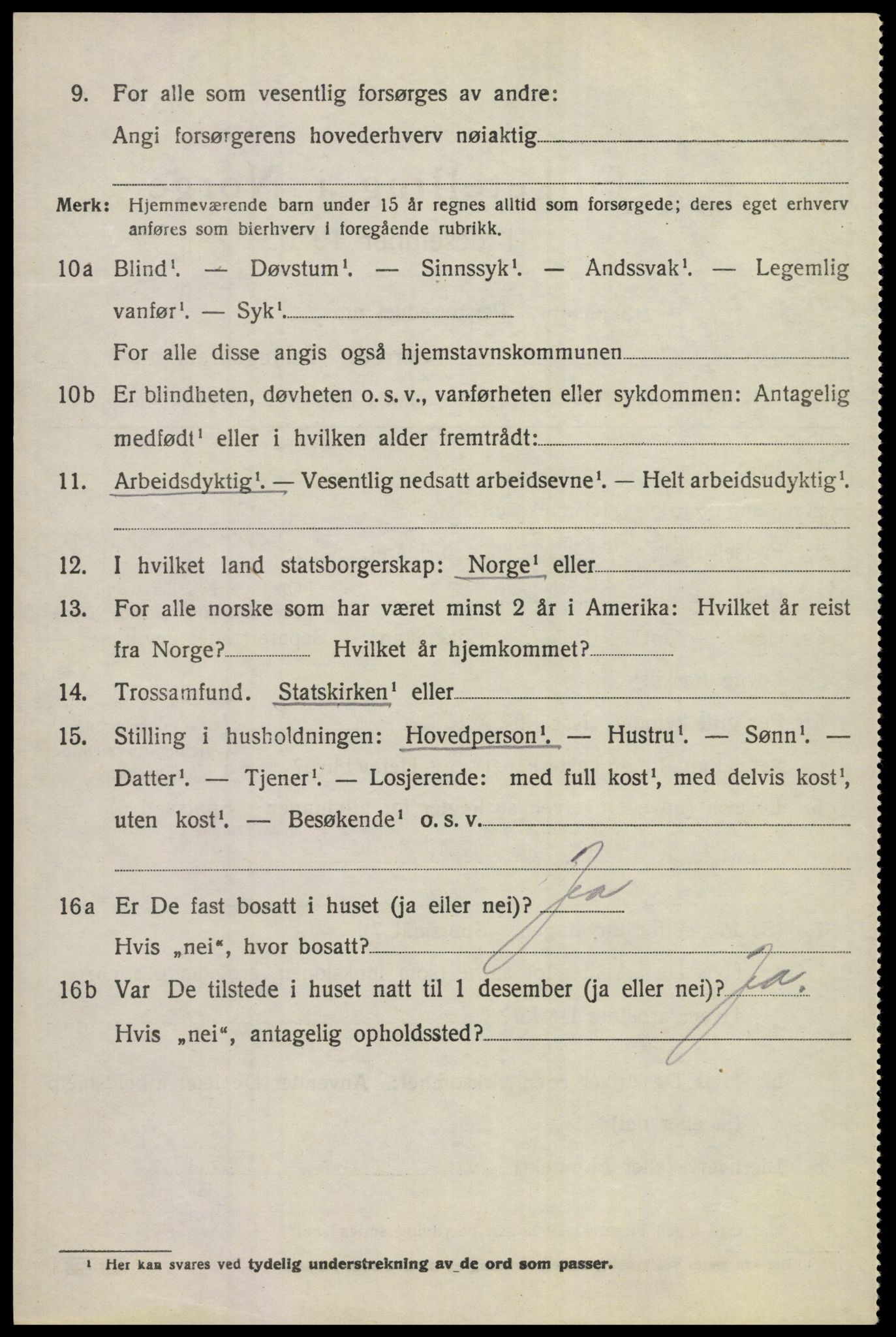 SAKO, 1920 census for Norderhov, 1920, p. 12009