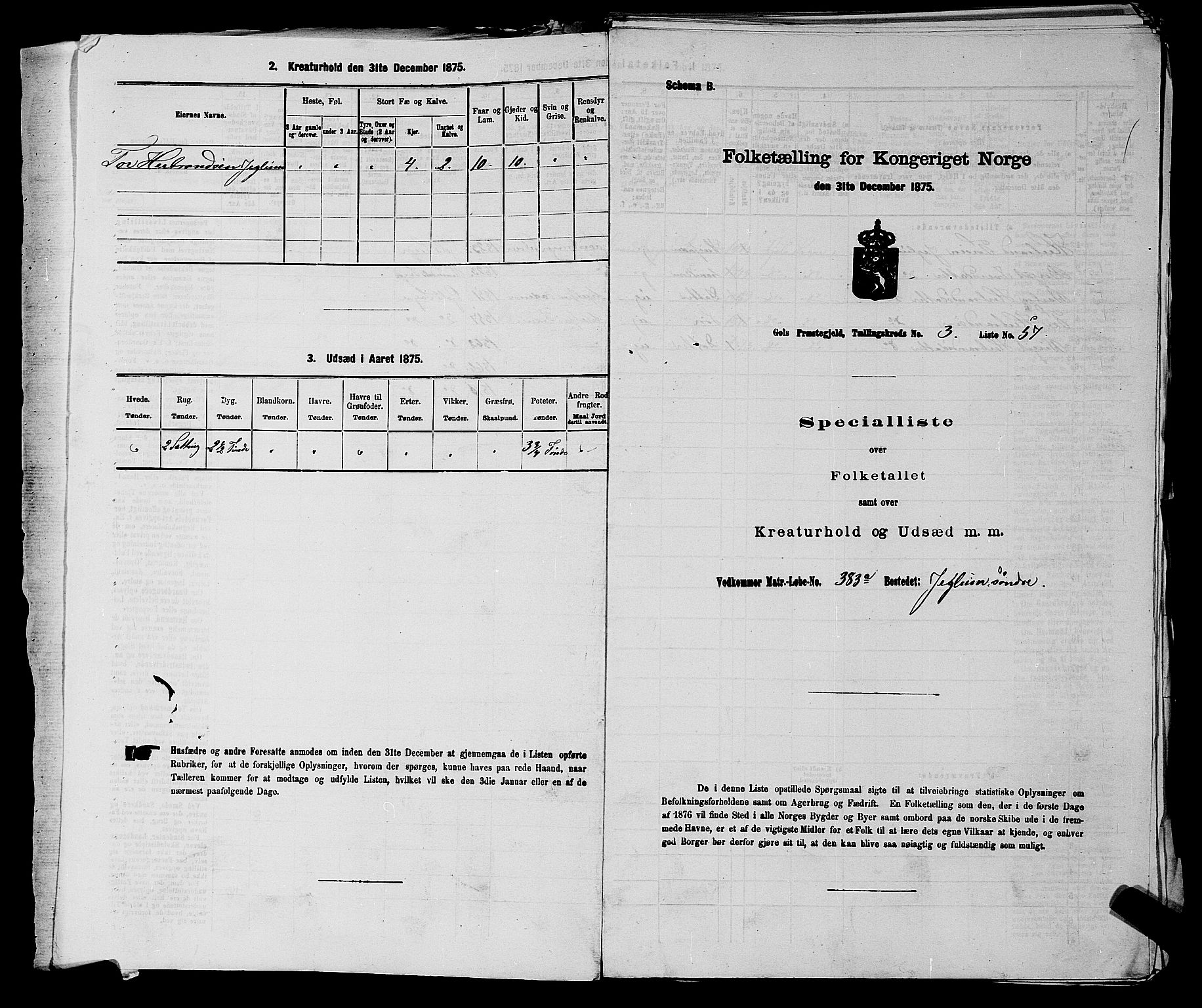 SAKO, 1875 census for 0617P Gol, 1875, p. 432