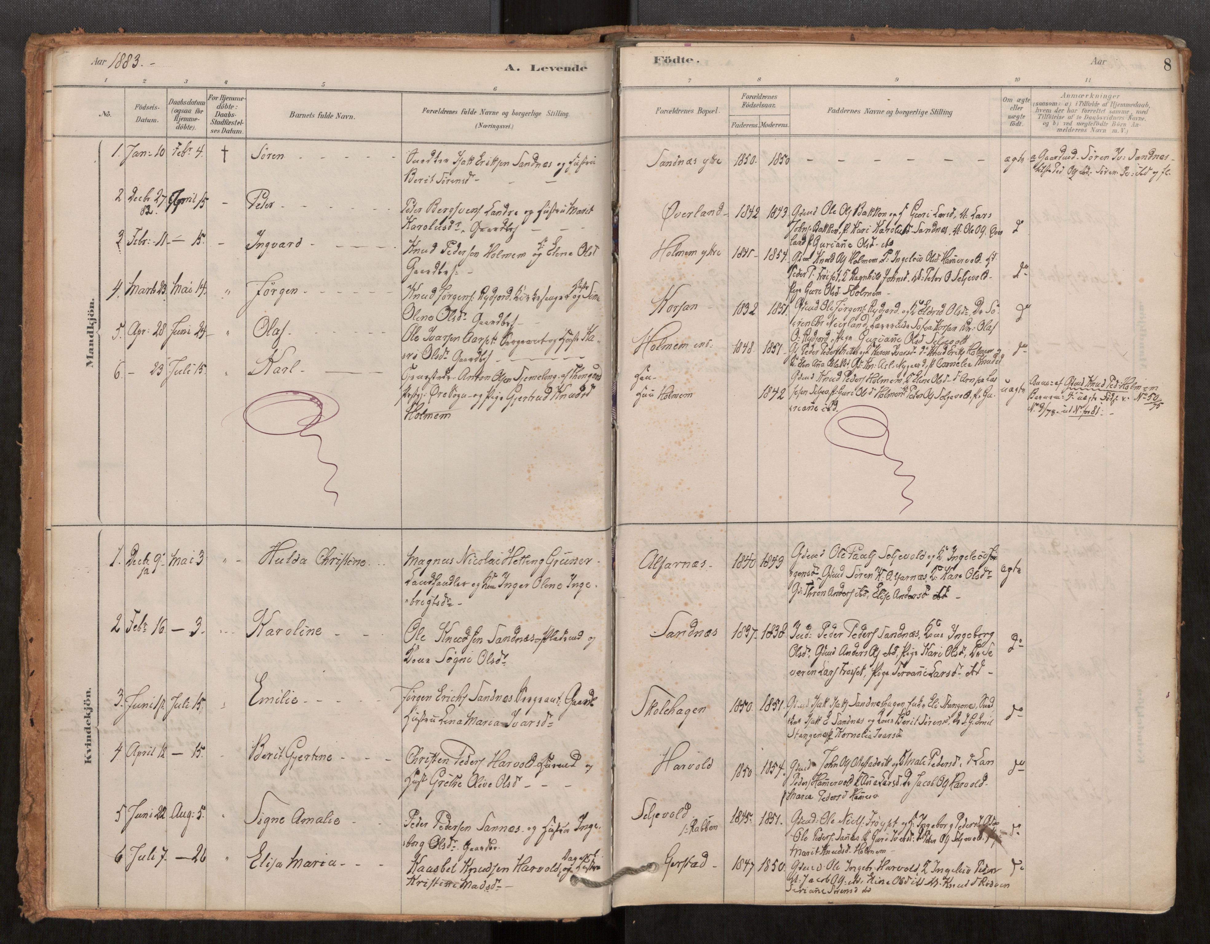 Ministerialprotokoller, klokkerbøker og fødselsregistre - Møre og Romsdal, AV/SAT-A-1454/548/L0615: Parish register (official) no. 548A02, 1878-1906, p. 8