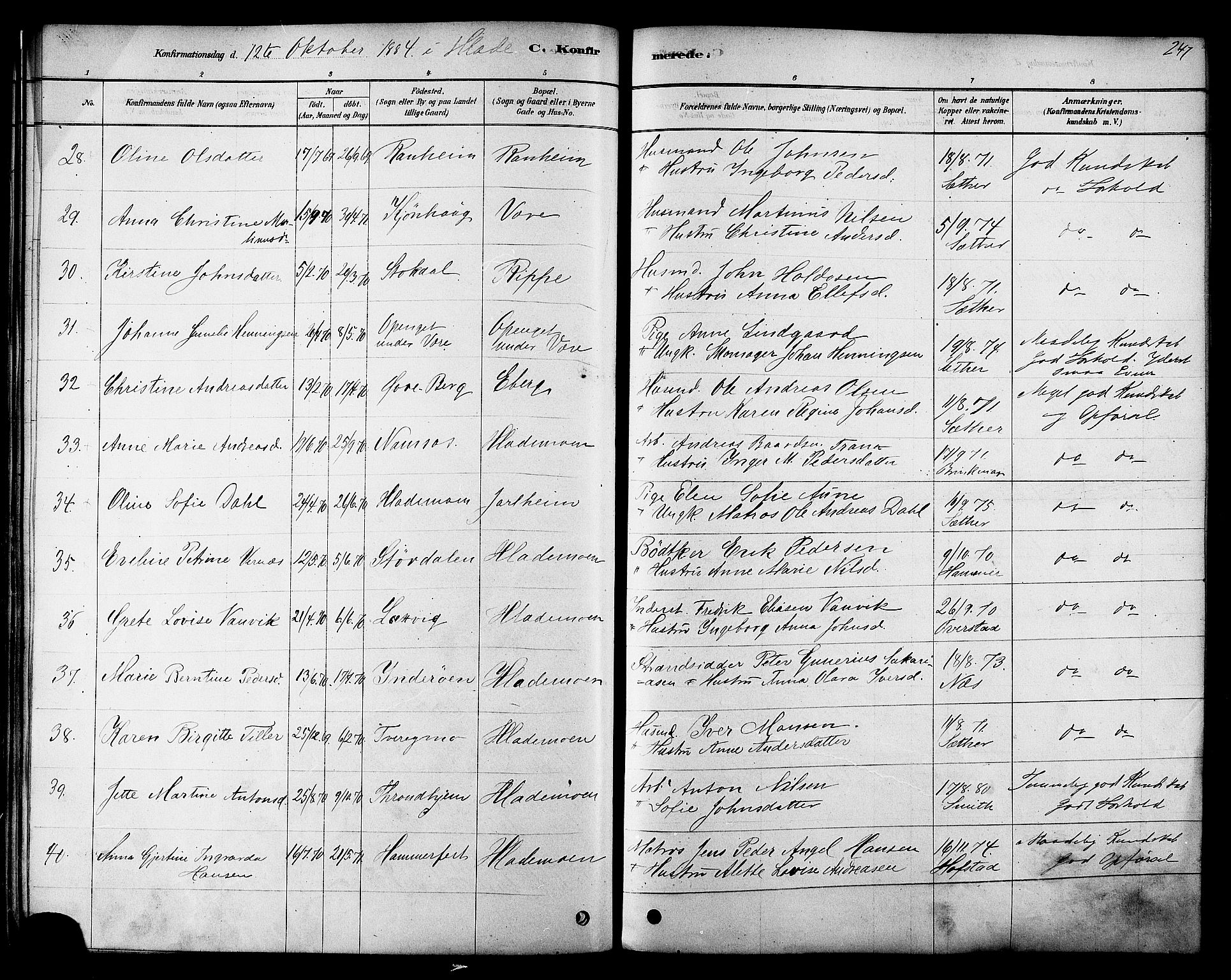 Ministerialprotokoller, klokkerbøker og fødselsregistre - Sør-Trøndelag, SAT/A-1456/606/L0294: Parish register (official) no. 606A09, 1878-1886, p. 247