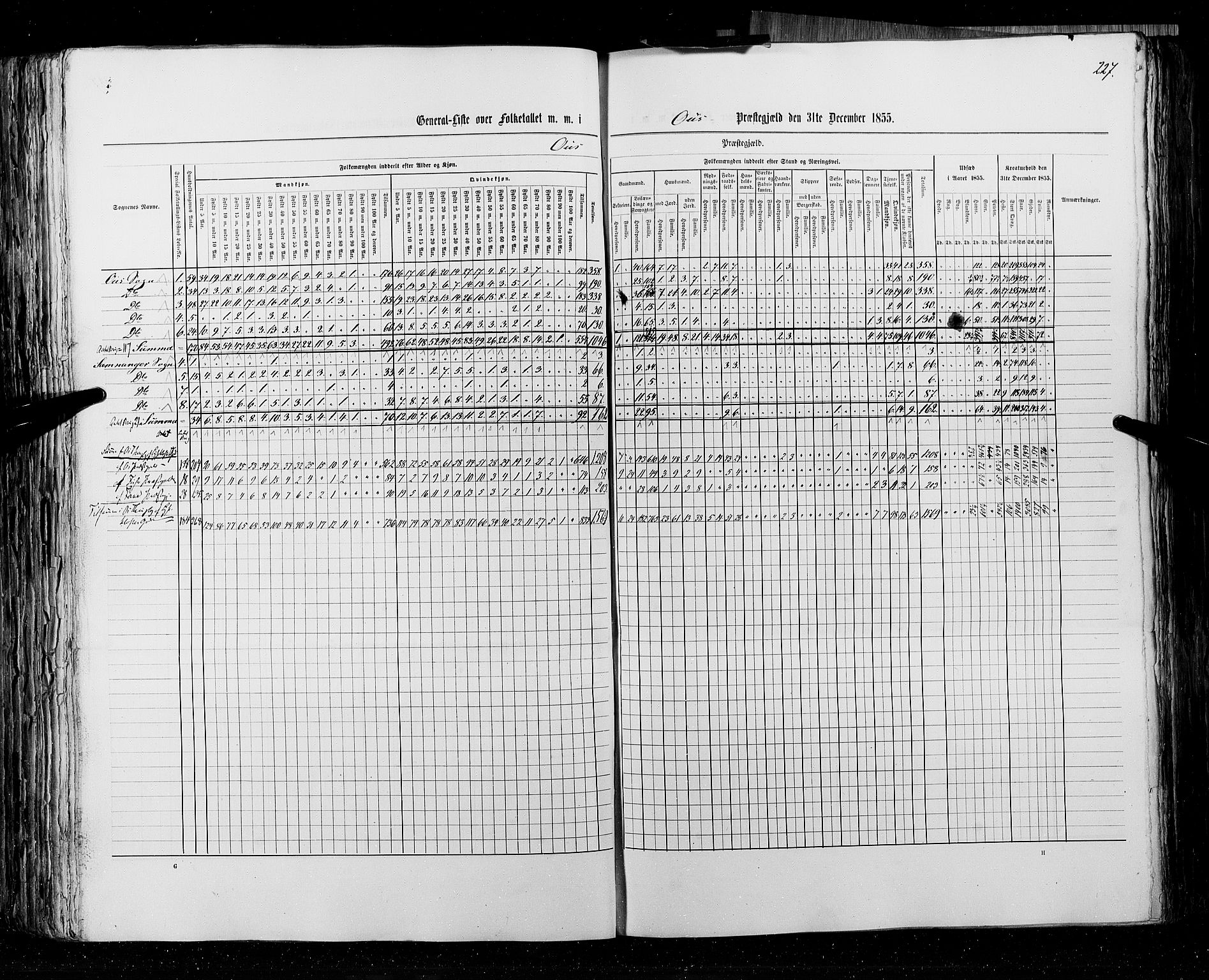 RA, Census 1855, vol. 4: Stavanger amt og Søndre Bergenhus amt, 1855, p. 227