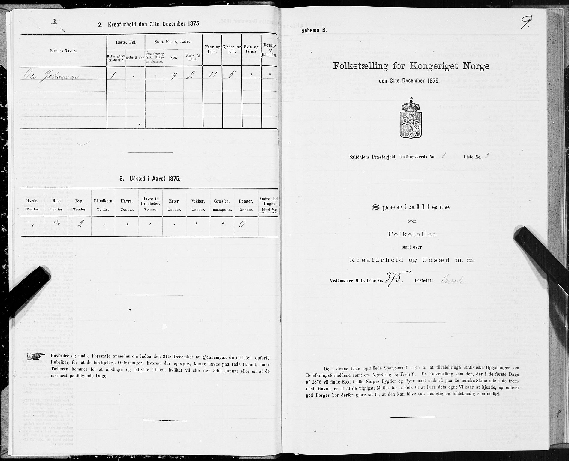 SAT, 1875 census for 1840P Saltdal, 1875, p. 2009