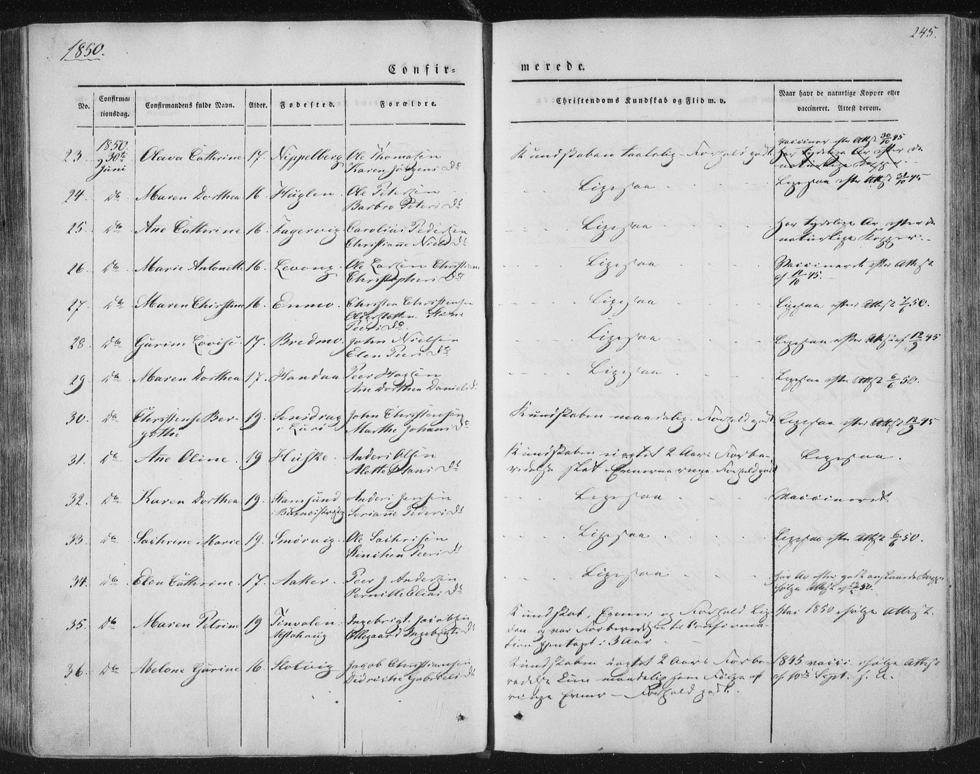 Ministerialprotokoller, klokkerbøker og fødselsregistre - Nordland, AV/SAT-A-1459/838/L0549: Parish register (official) no. 838A07, 1840-1854, p. 245