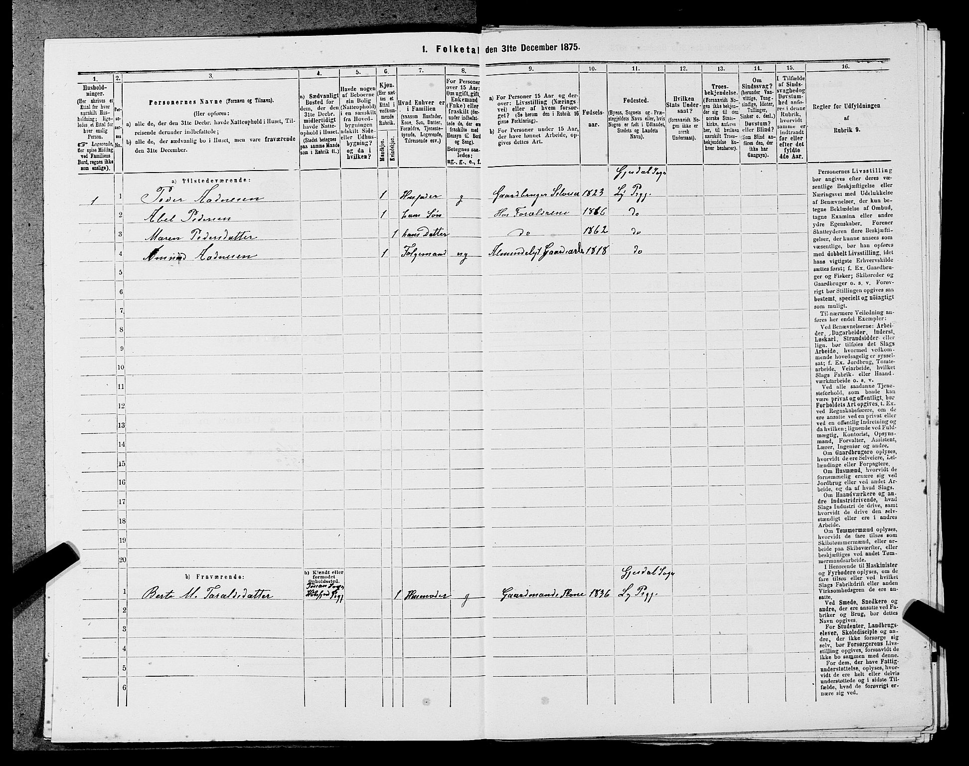 SAST, 1875 census for 1121P Lye, 1875, p. 1030