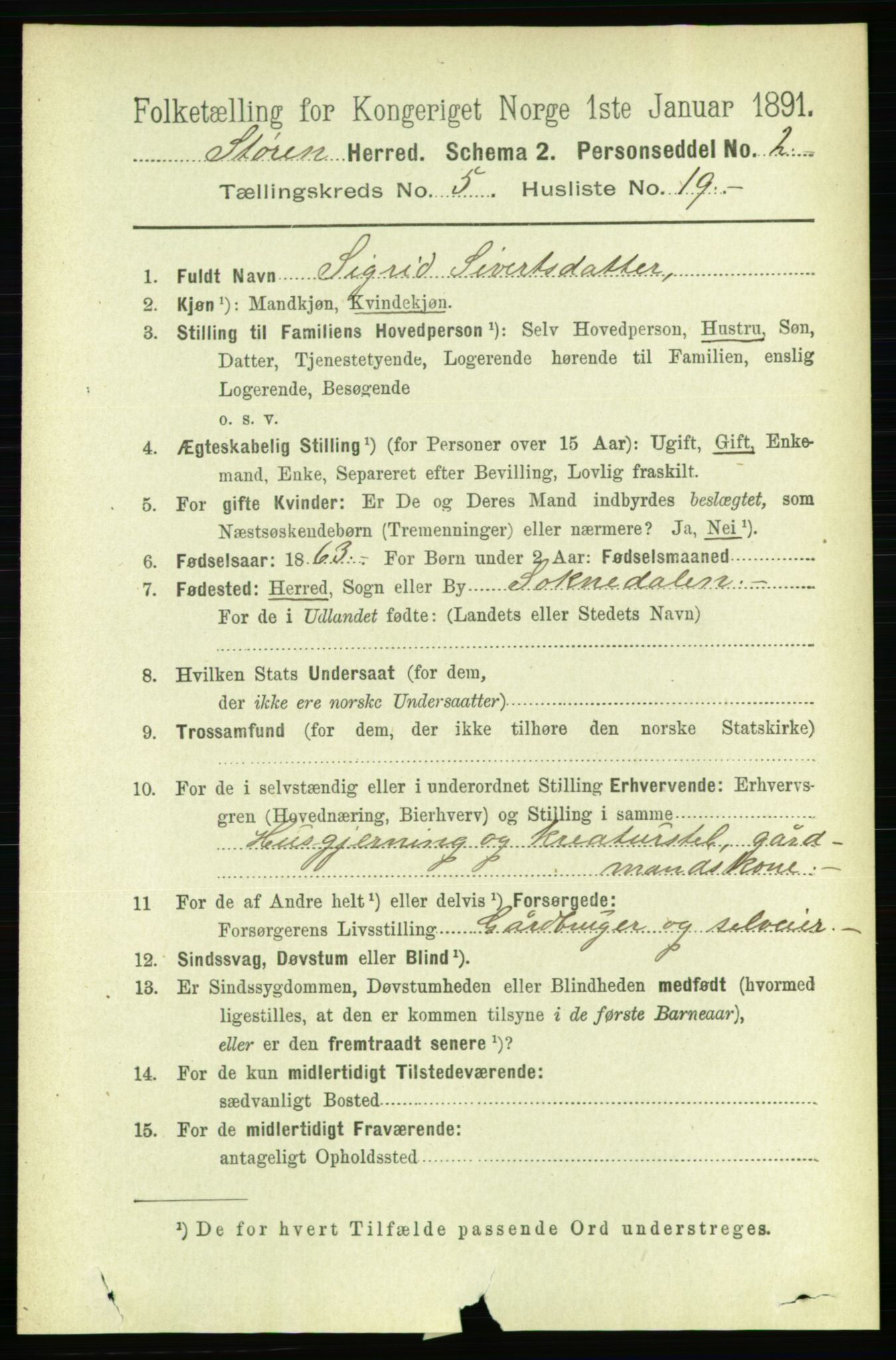RA, 1891 census for 1648 Støren, 1891, p. 2043