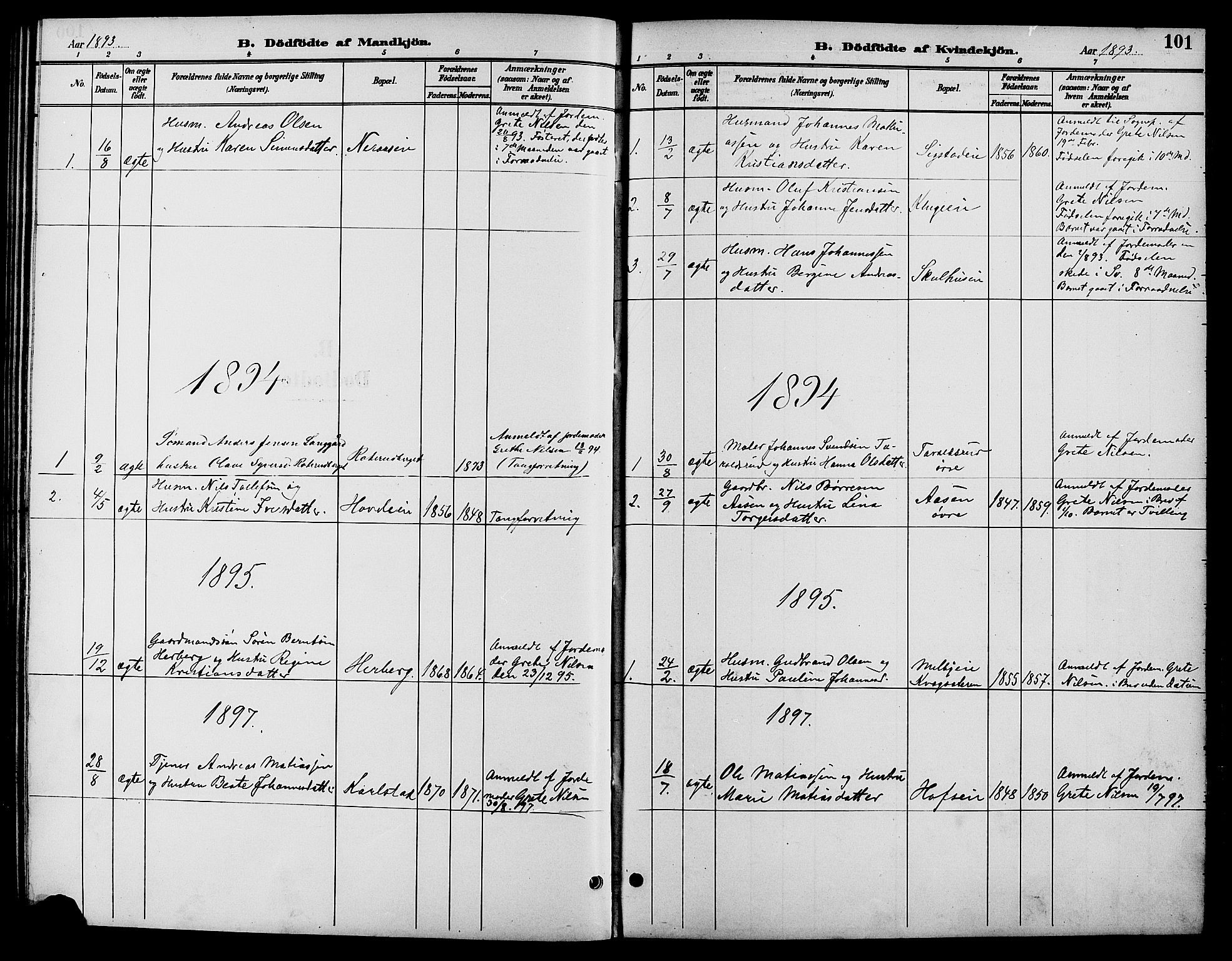 Biri prestekontor, SAH/PREST-096/H/Ha/Hab/L0004: Parish register (copy) no. 4, 1892-1909, p. 101