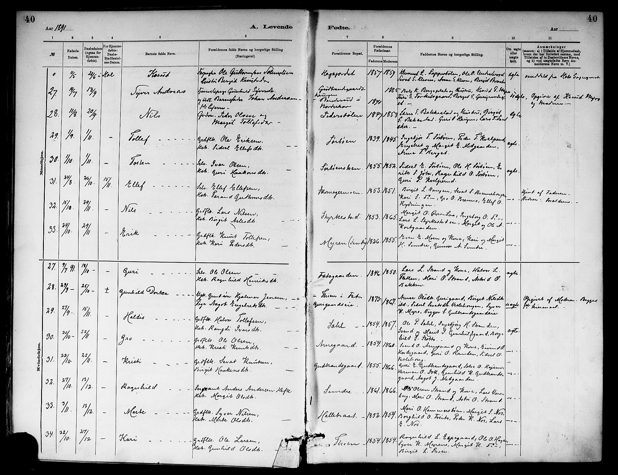 Ål kirkebøker, SAKO/A-249/F/Fa/L0008: Parish register (official) no. I 8, 1882-1896, p. 40