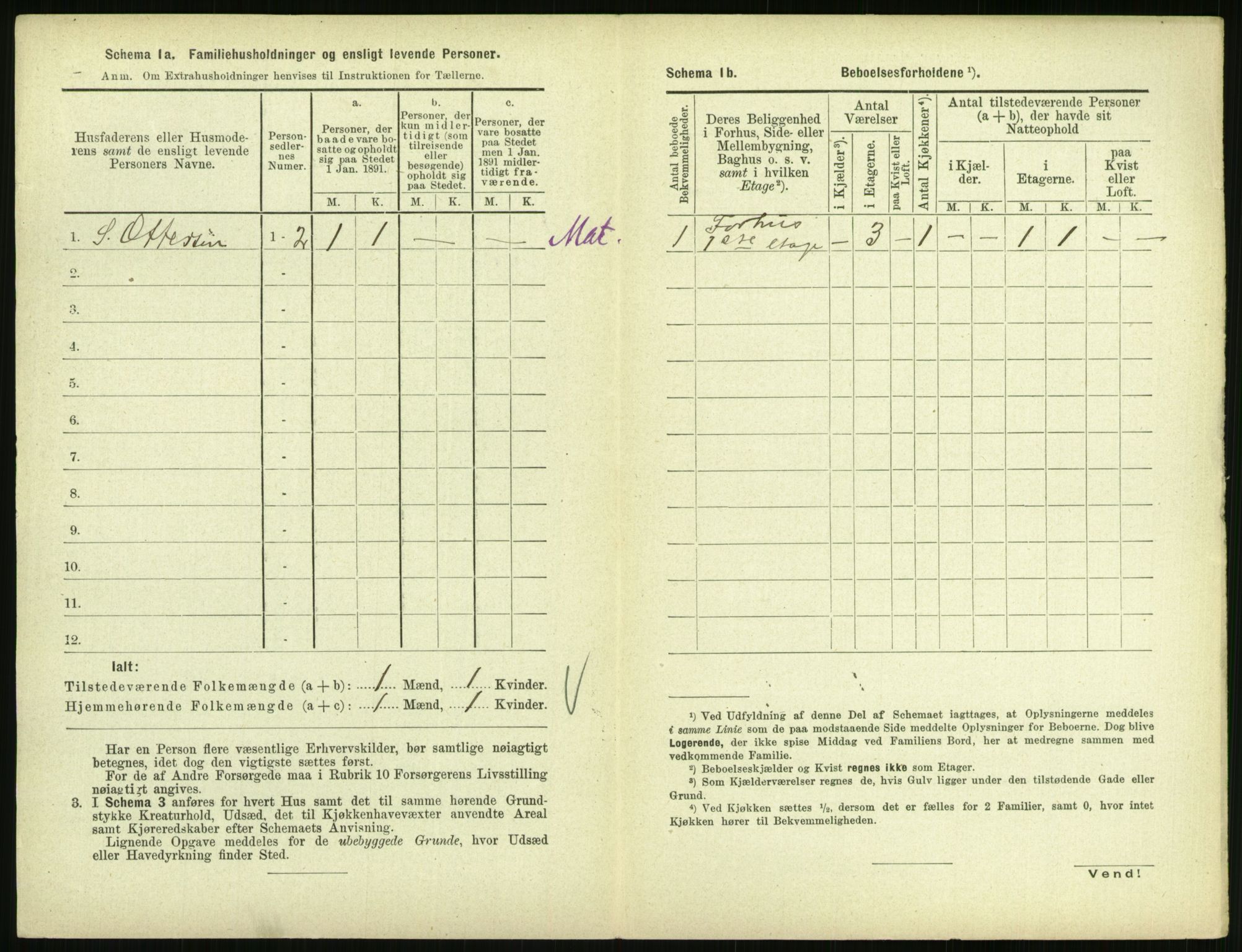 RA, 1891 census for 0707 Larvik, 1891, p. 816