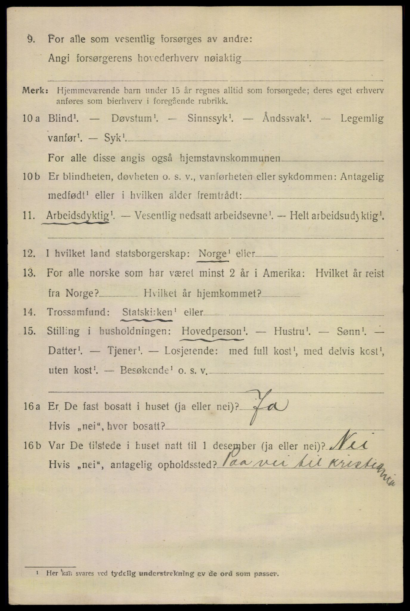 SAKO, 1920 census for Skien, 1920, p. 43537