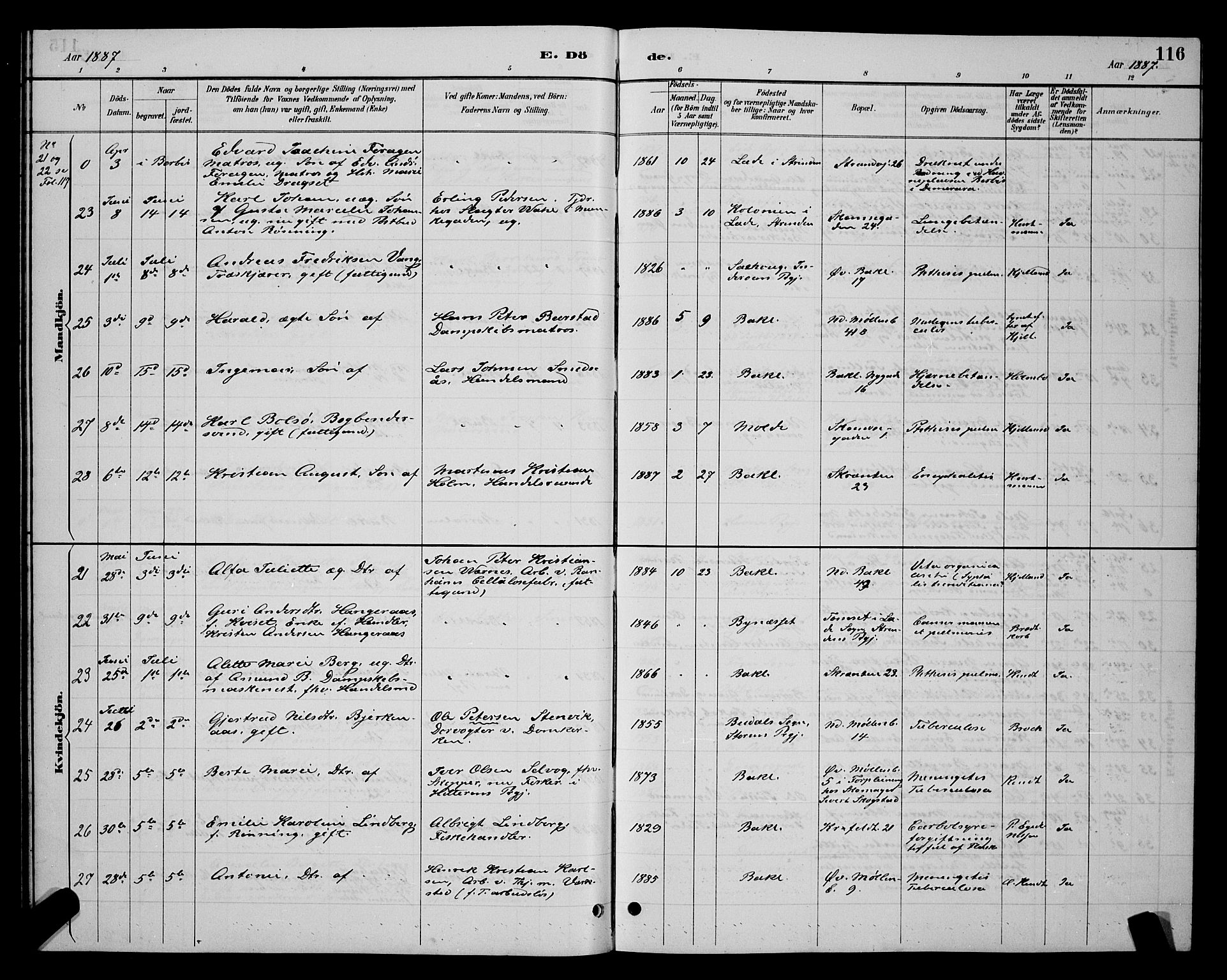 Ministerialprotokoller, klokkerbøker og fødselsregistre - Sør-Trøndelag, AV/SAT-A-1456/604/L0223: Parish register (copy) no. 604C06, 1886-1897, p. 116