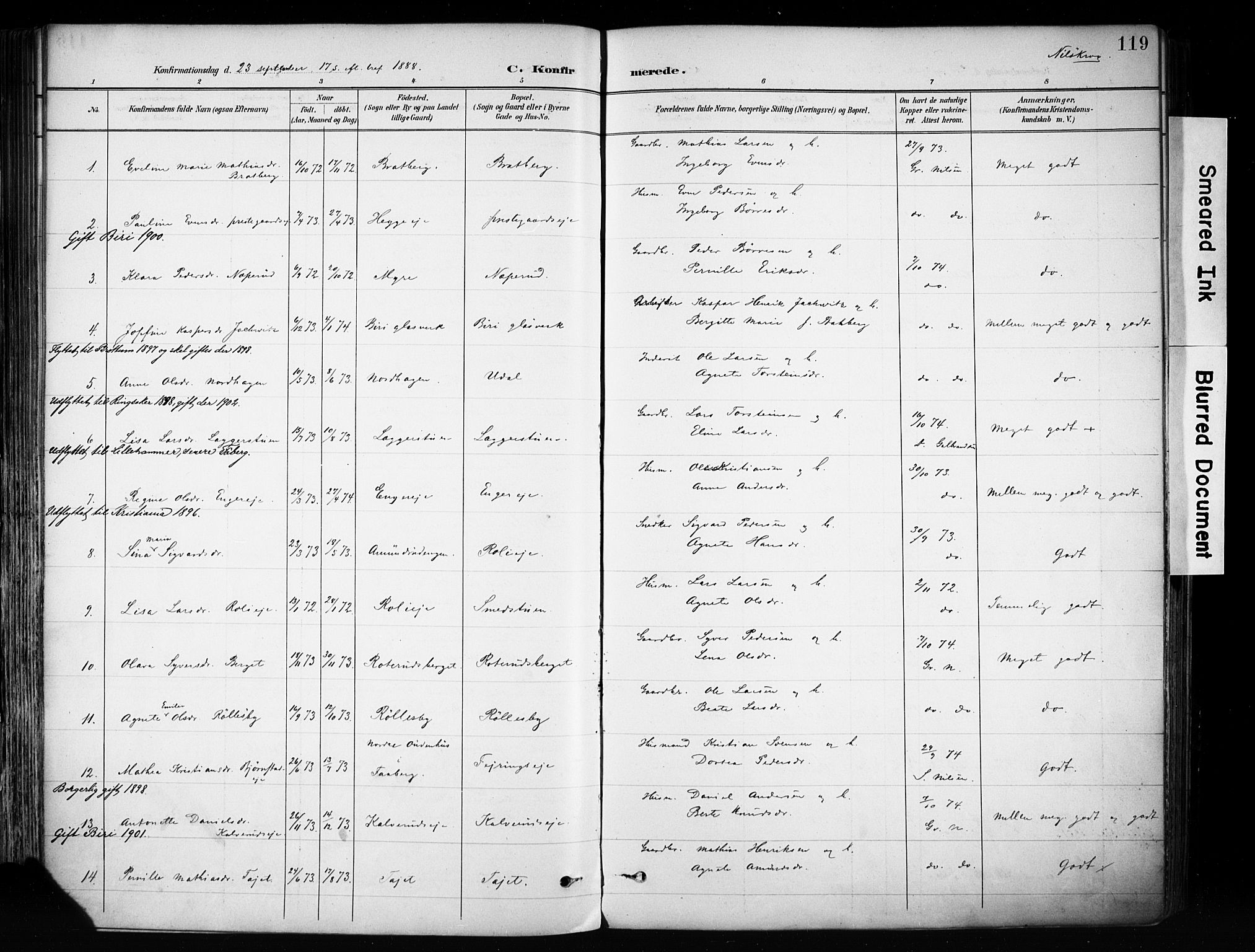 Biri prestekontor, AV/SAH-PREST-096/H/Ha/Haa/L0009: Parish register (official) no. 9, 1887-1900, p. 119