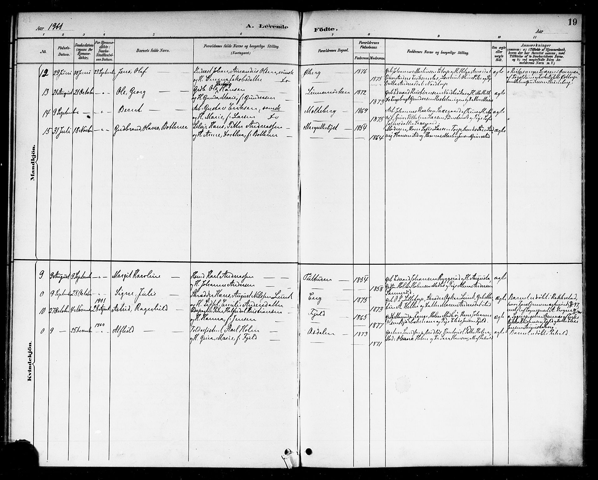 Berg prestekontor Kirkebøker, AV/SAO-A-10902/F/Fc/L0002: Parish register (official) no. III 2, 1888-1901, p. 19