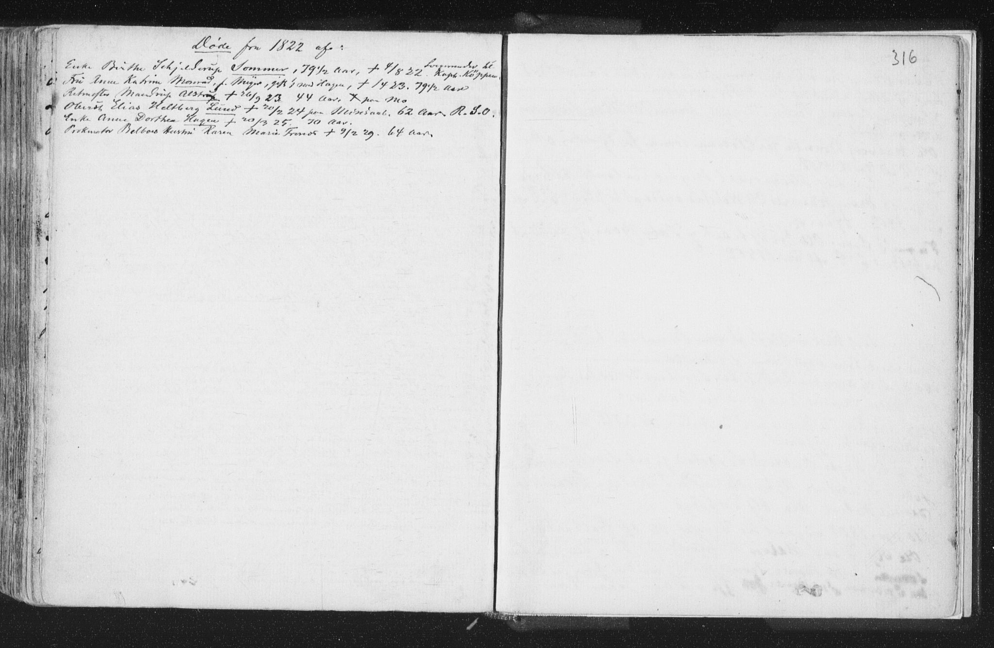 Ministerialprotokoller, klokkerbøker og fødselsregistre - Nord-Trøndelag, SAT/A-1458/723/L0232: Parish register (official) no. 723A03, 1781-1804, p. 316