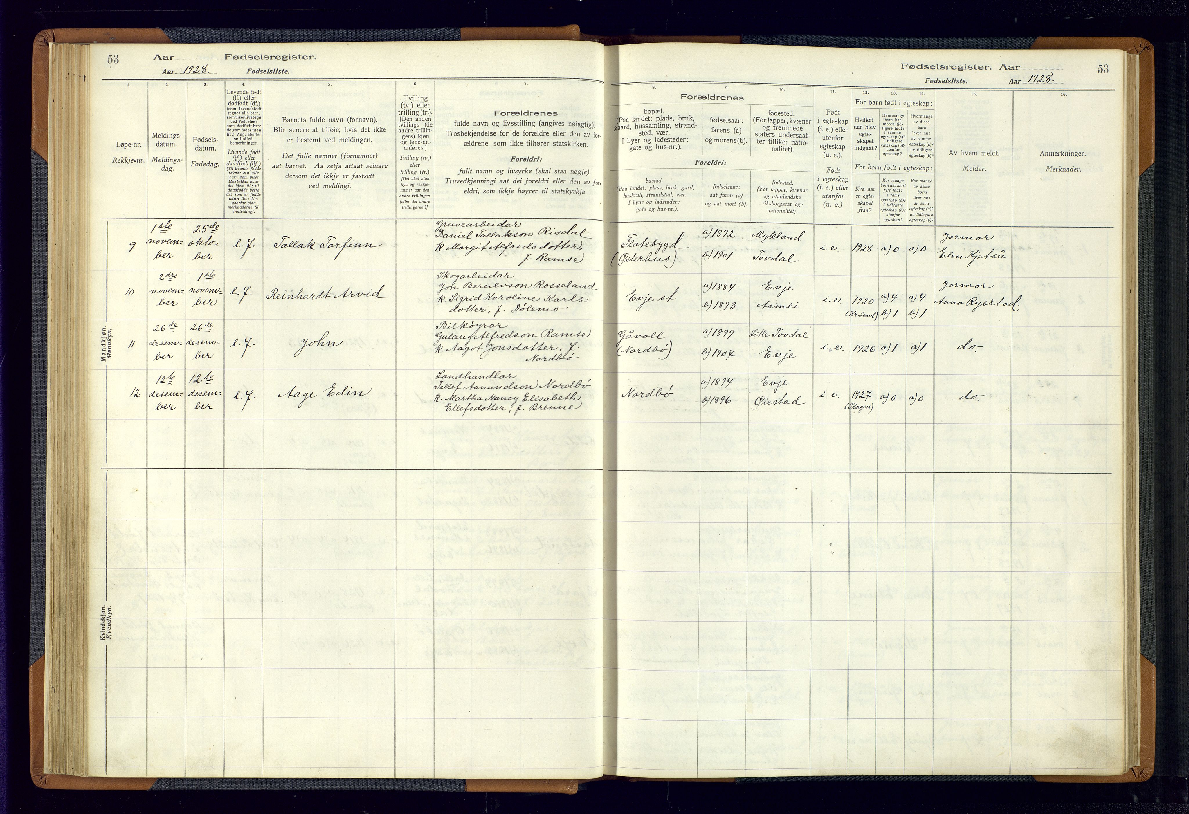 Evje sokneprestkontor, AV/SAK-1111-0008/J/Jc/L0004: Birth register no. 4, 1916-1968, p. 53