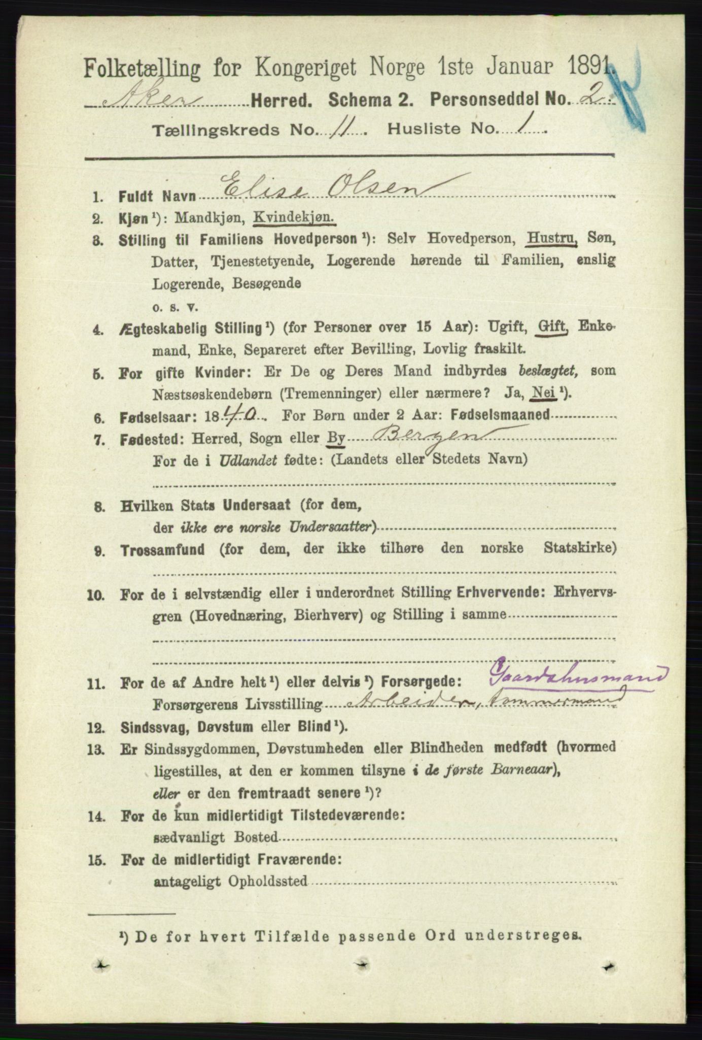 RA, 1891 census for 0218 Aker, 1891, p. 10187