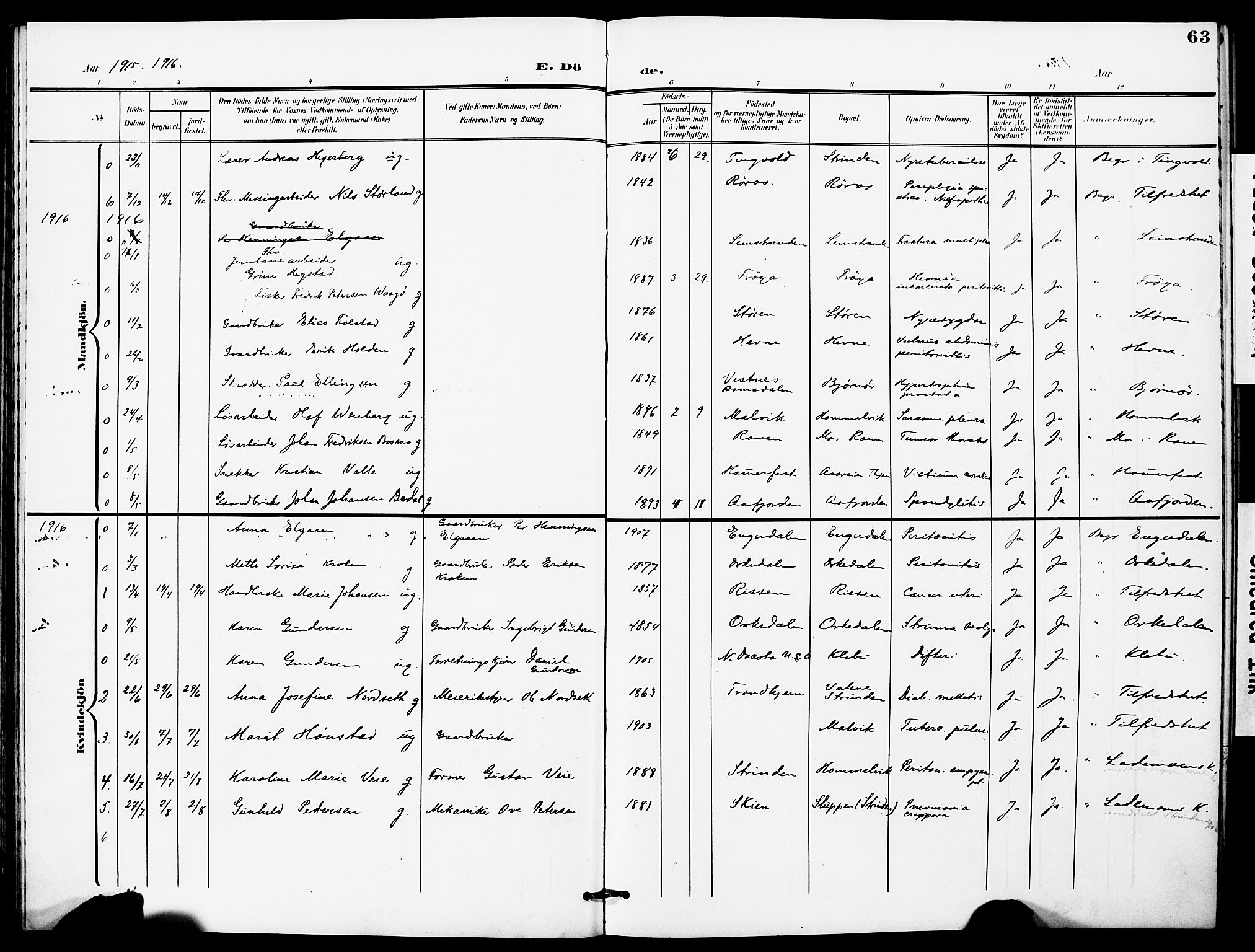 Ministerialprotokoller, klokkerbøker og fødselsregistre - Sør-Trøndelag, AV/SAT-A-1456/628/L0483: Parish register (official) no. 628A01, 1902-1920, p. 63