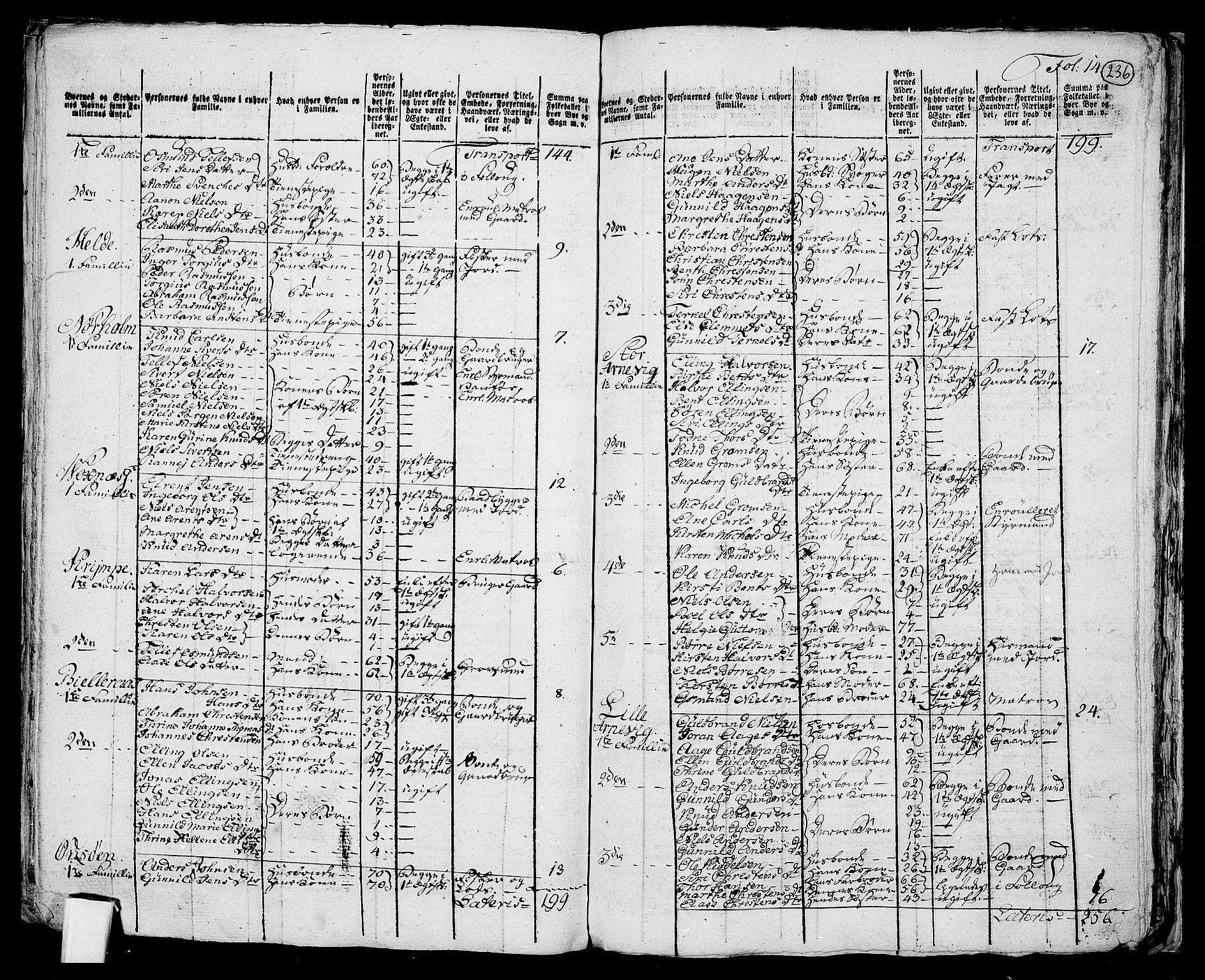 RA, 1801 census for 0924P Homedal, 1801, p. 235b-236a