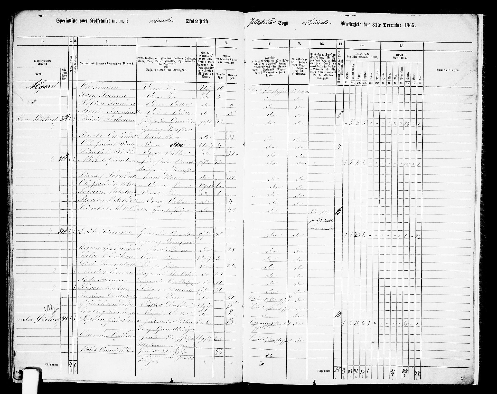 RA, 1865 census for Lund, 1865, p. 113