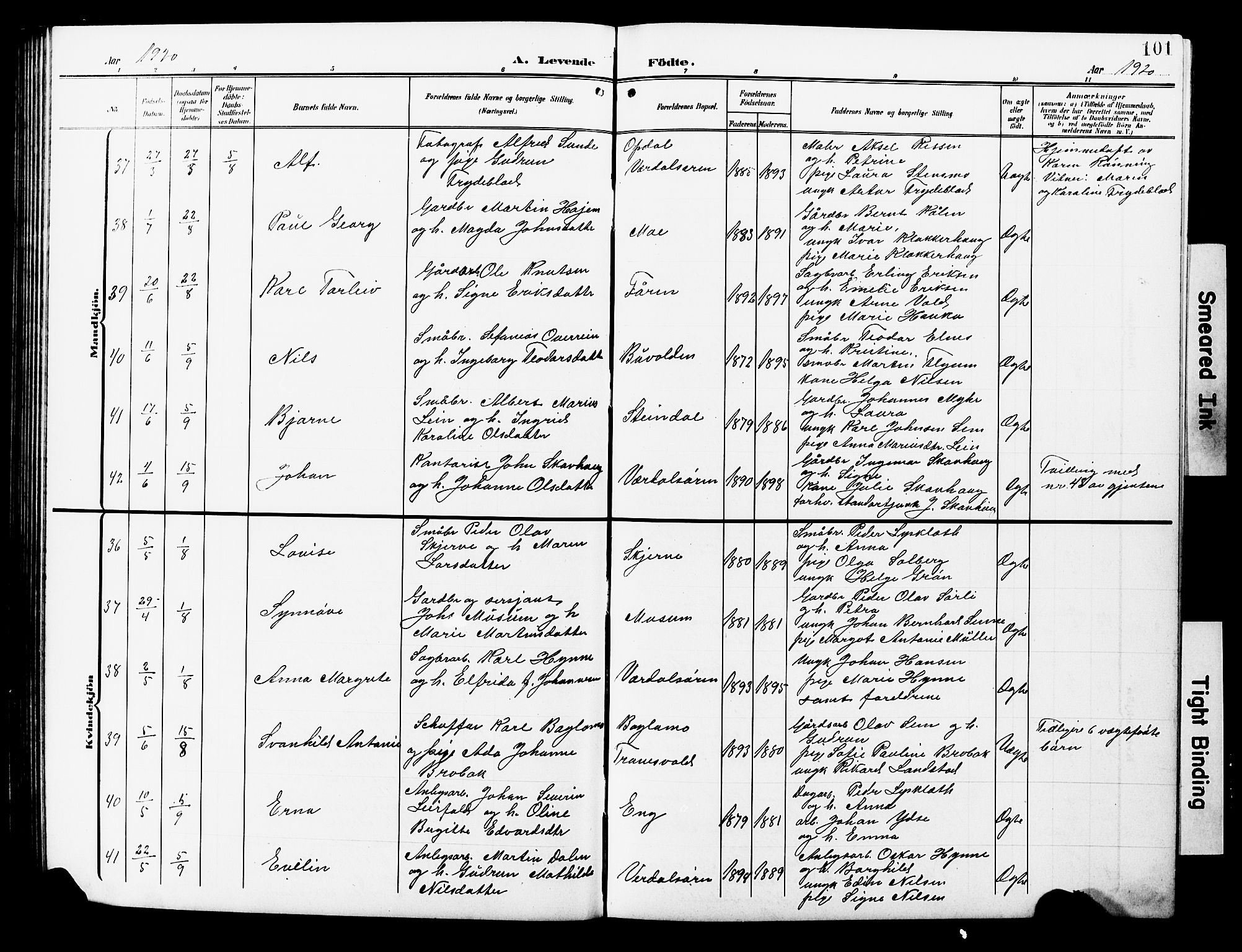 Ministerialprotokoller, klokkerbøker og fødselsregistre - Nord-Trøndelag, AV/SAT-A-1458/723/L0258: Parish register (copy) no. 723C06, 1908-1927, p. 101