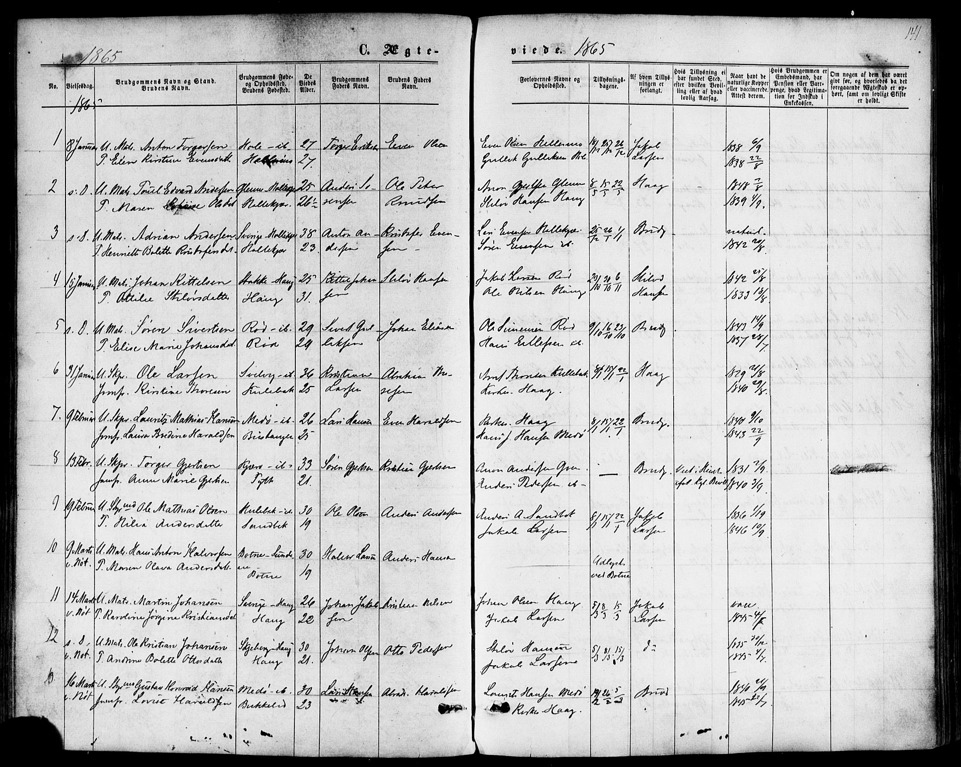 Nøtterøy kirkebøker, SAKO/A-354/F/Fb/L0001: Parish register (official) no. II 1, 1865-1878, p. 141