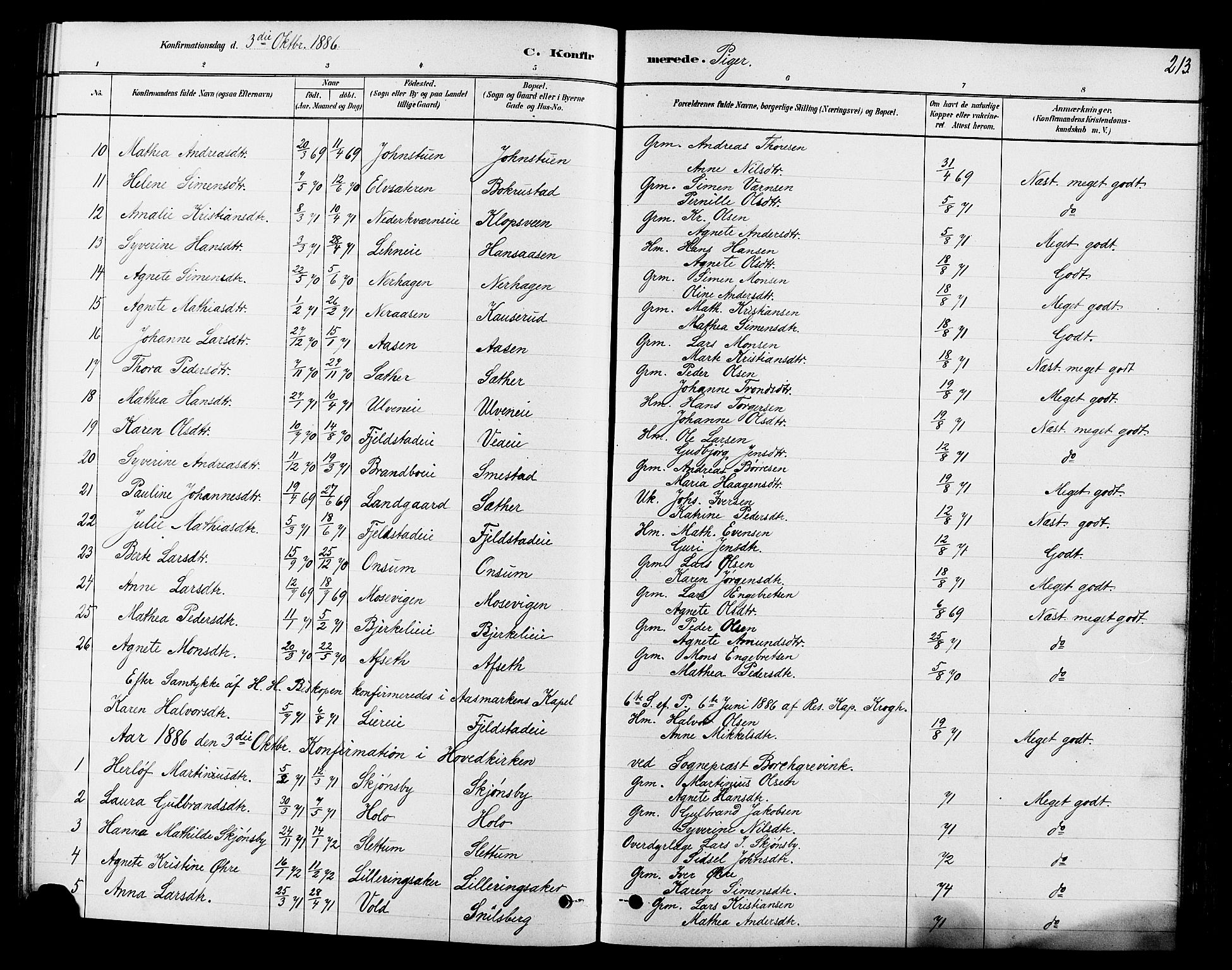 Ringsaker prestekontor, SAH/PREST-014/L/La/L0009: Parish register (copy) no. 9, 1879-1890, p. 213